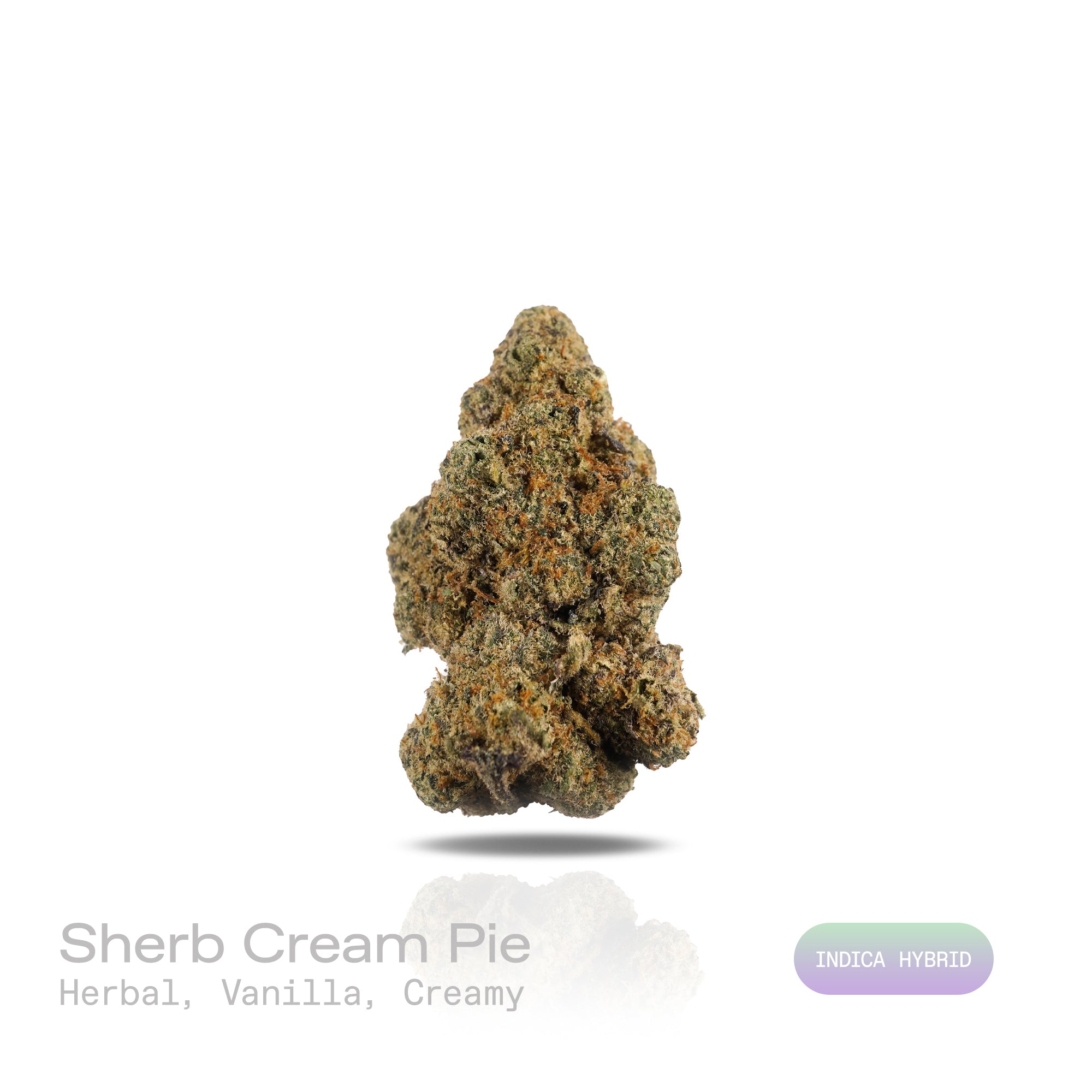 PUFFY Sherb Cream Pie is an indica-dominant hybrid THCa strain, born from the renowned cross of Ice Cream Cake and Sherb BX1. The aroma exudes a soothing blend of herbal notes intertwined with sweet vanilla and a creamy finish, creating a rich and comforting fragrance. Visually, the buds are light and airy with a slightly conical form, showcasing rich green and purple tones, all enveloped in a sparkling layer of frosty trichomes. Consumers often report a wave of euphoria and happiness paired with soothing r