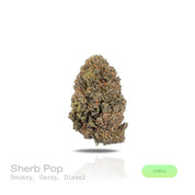 PUFFY Sherb Pop is a balanced hybrid THCa strain meticulously blended from Sunset Sherbet and Orange Push Pop. The aroma is a bold blend of smoky undertones, heavy gassy notes, and sharp diesel fuel. Visually, dense green buds with purple hues and fiery orange pistils are coated in sticky trichomes. Consumers often report an initial euphoric mood lift and gentle cerebral sweetness that gradually transitions into deep body relaxation and calm.
