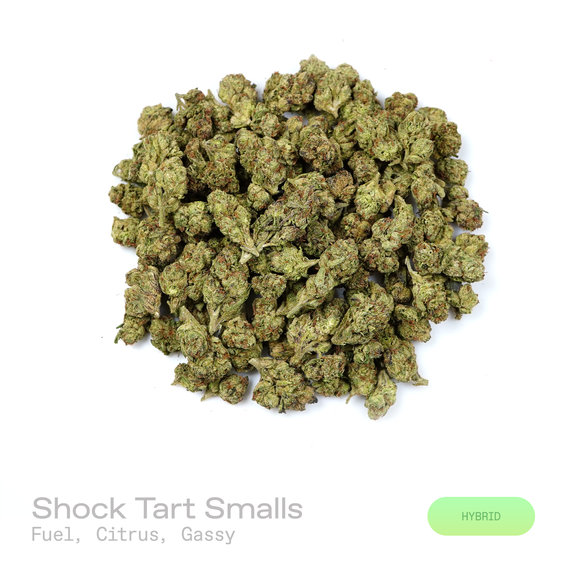 PUFFY Shock Tart (smalls) is a balanced hybrid THCa strain rooted in the exceptional lineage of Purple Thai and Afghani. The aroma opens with bold notes of pungent fuel and bright citrus, layered with a rich gassy finish. Visually, dense deep forest green buds with purple hues and fiery orange pistils are coated in sticky trichomes. Consumers often report feeling euphoric, content, relaxed, and focused, offering a soothing yet mentally engaging experience. 