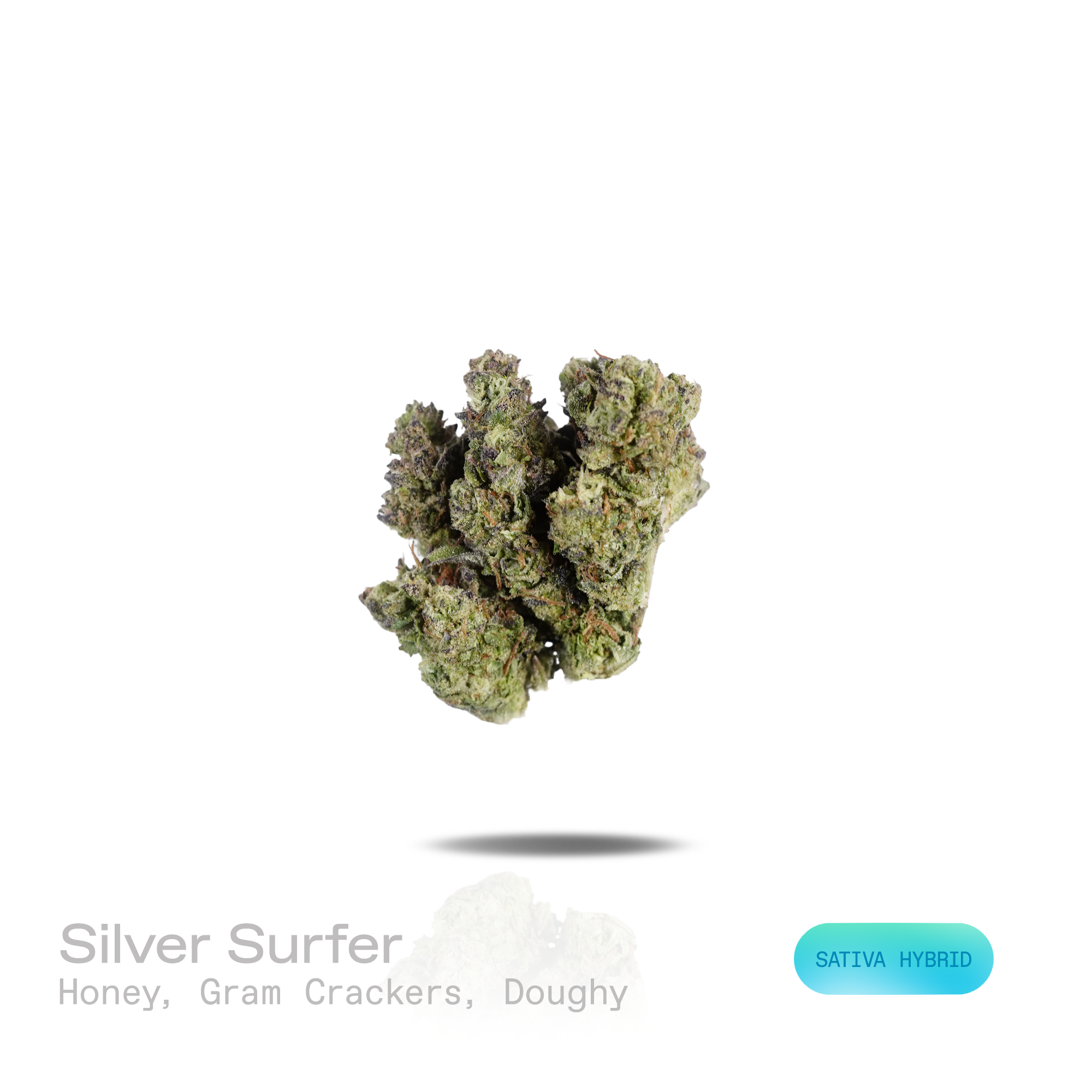 PUFFY Silver Surfer is a sativa-dominant hybrid THCa strain descended from the iconic cross of Super Silver Haze and Blue Dream. The aroma is a sweet, honeyed blend with warm graham cracker notes and a rich, doughy finish. Visually, dense forest green buds with purple hues and fiery orange pistils are coated in sticky trichomes. Consumers often report a euphoric, energetic, and mentally stimulating high that enhances creativity and focus before gradually settling into a gentle, deeply relaxing sense of body