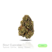 PUFFY Sour Cupcake is a balanced hybrid THCa strain, born from the unique pairing of Sour Diesel and Wedding Cake. The aroma is a vibrant blend of zesty citrus, pungent gassy notes, and sharp diesel undertones. Visually, dense forest green buds with purple hues and fiery orange pistils are coated in sticky trichomes. Consumers often report feeling euphoric and energized, accompanied by mental clarity, heightened creativity and sociability, paired with gentle, soothing body relaxation.