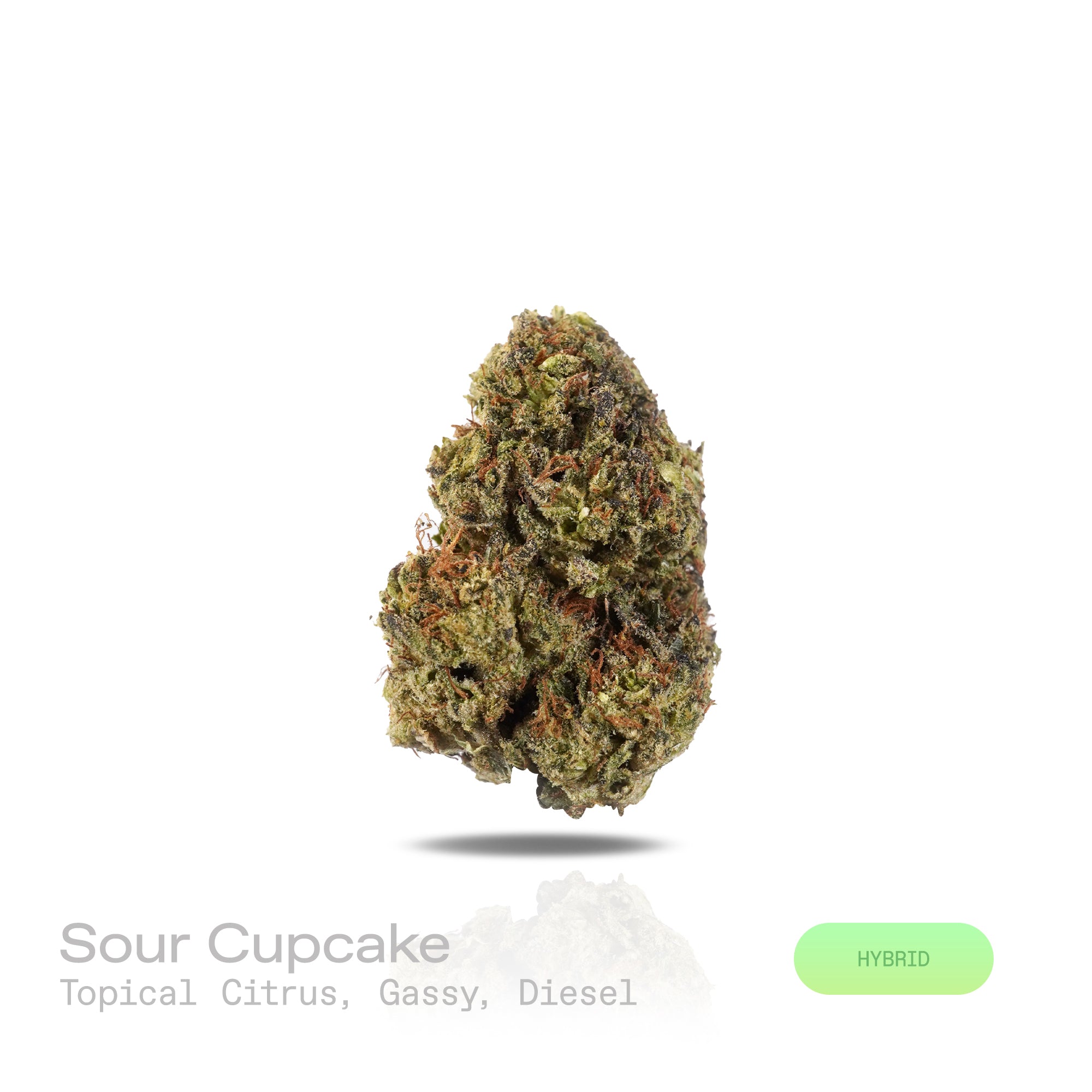 PUFFY Sour Cupcake is a balanced hybrid THCa strain, born from the unique pairing of Sour Diesel and Wedding Cake. The aroma is a vibrant blend of zesty citrus, pungent gassy notes, and sharp diesel undertones. Visually, dense forest green buds with purple hues and fiery orange pistils are coated in sticky trichomes. Consumers often report feeling euphoric and energized, accompanied by mental clarity, heightened creativity and sociability, paired with gentle, soothing body relaxation.