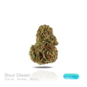 PUFFY Sour Diesel is a sativa-dominant hybrid THCa strain, born from the pairing of Chemdawg and Super Skunk. The aroma combines bright citrus notes with pungent diesel and a hint of spicy undertones. Visually, this strain features dense light-green buds accented by vibrant orange pistils and a thick, frosty layer of trichomes. Consumers often report that this strain enhances mood, sharpens focus, and sparks creativity with its uplifting, cerebral, and energizing effects.