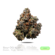 PUFFY Sour OG Kush is a balanced hybrid THCa strain crafted from the masterful pairing of Sour Diesel and OG Kush. The aroma is a bold fusion of pungent diesel, crisp pine, and earthy herbal notes. Visually, dense forest green buds with hints of purple, bright orange pistils, and a thick coating of sparkling trichomes. Consumers often report a euphoric and uplifting experience accompanied by a relaxed mood and a more talkative, sociable state.