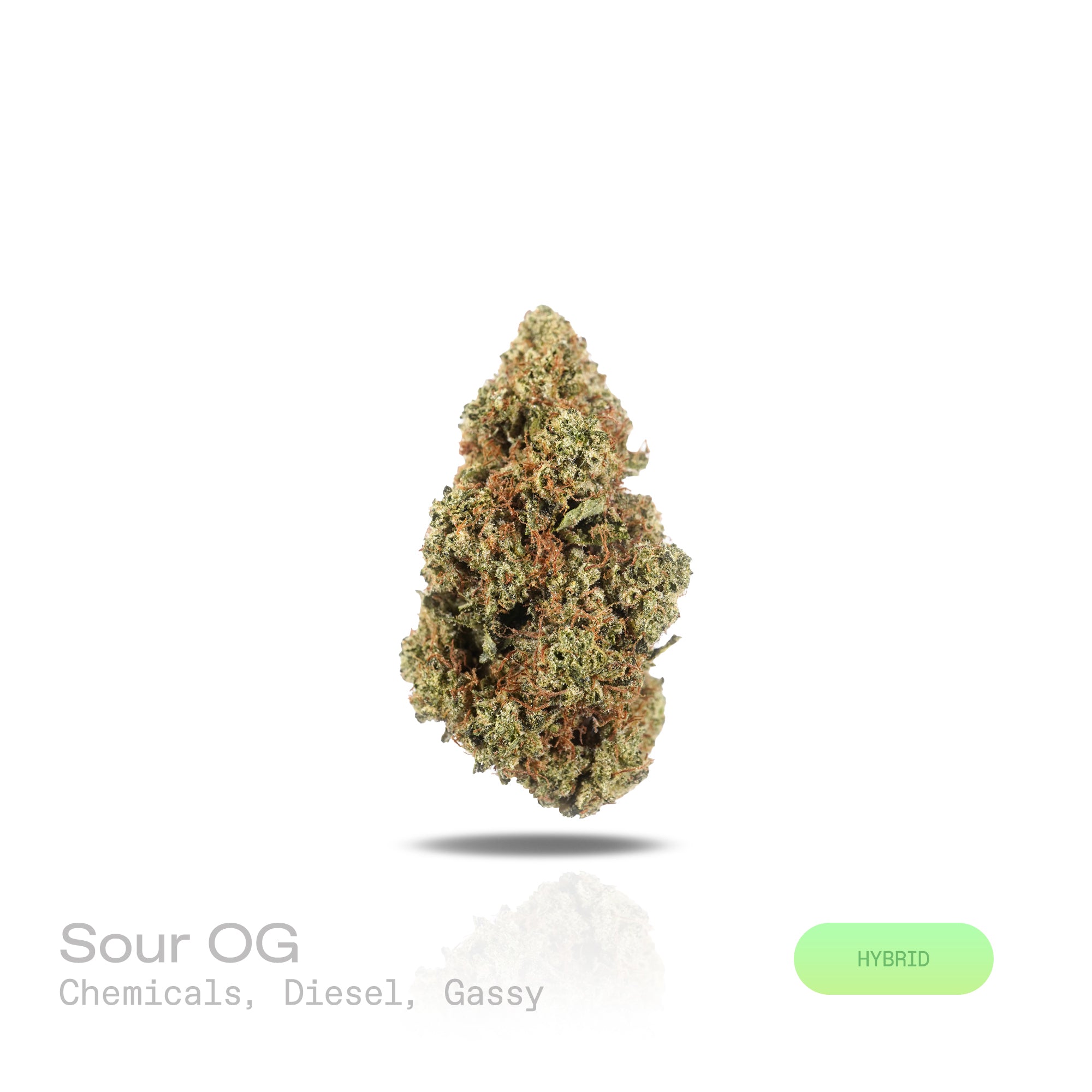 PUFFY Sour OG is a balanced hybrid THCa strain, born from the cross of Sour Diesel and OG Kush. The aroma is a bold blend of chemical undertones, pungent diesel, and a distinctly gassy note. Visually striking, these dense buds feature deep green tones with purple accents, dotted with orange pistils and a sparkling trichome coating. Consumers often report an initial euphoric head high that gradually flows into a soothing, relaxed body sensation, leaving them feeling blissful, sociable, and energized. 