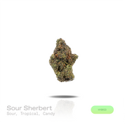 PUFFY Sour Sherbert is a balanced hybrid THCa strain formed through the strategic blending of Sour Diesel and Sherbet. The aroma is a vibrant blend of sour tropical fruit notes, balanced by a sweet, playful Candy finish. Visually, dense forest green buds with purple hues and fiery orange pistils are coated in sticky trichomes. Consumers often report feeling euphoric and uplifted with energetic, focused, and relaxed effects. 