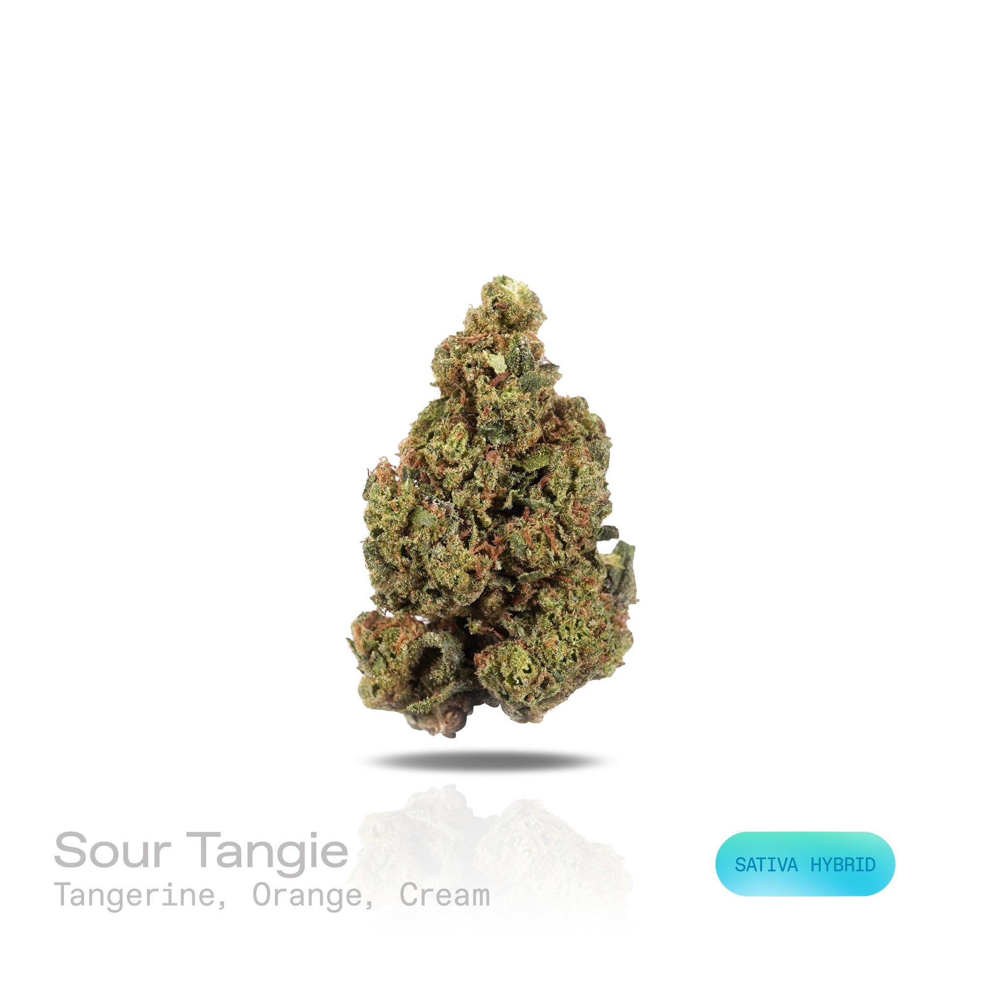 PUFFY Sour Tangie is a sativa-dominant hybrid THCa strain, hailing from the legendary genetics of East Coast Sour Diesel and Tangie. The aroma is a bright and zesty blend of tangerine and orange, softened by a smooth, creamy undertone. Visually, the dense buds display rich forest-green tones with hints of purple, accented by vibrant orange pistils and enveloped in a frosty layer of trichomes. Consumers often report a cerebral, uplifting head high that sparks euphoria, focus, and inspiration, accompanied by 