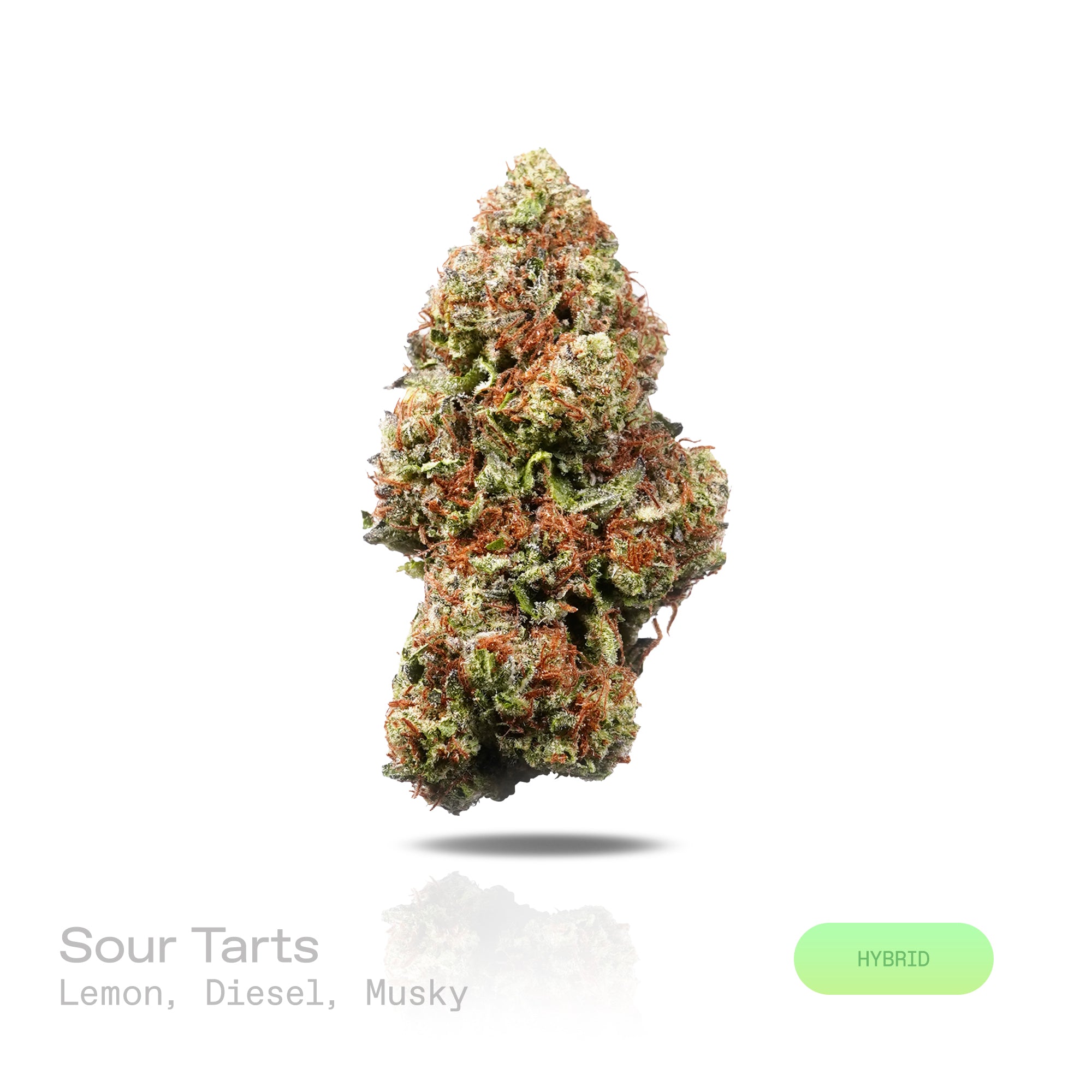 PUFFY Sour Tarts is a balanced hybrid THCa strain, crafted from the exquisite blend of Di Frutti and Karma Sour Diesel BX2. The aroma opens with a zesty burst of lemon, complemented by pungent diesel notes and a deep, earthy musk. Visually, dense forest green buds with purple hues and fiery orange pistils are coated in sticky trichomes. Consumers often report a euphoric lift in mood, an uplifting sense of well-being, enhanced creative flow, and a soothing wave of relaxation for a refined, harmonious experie
