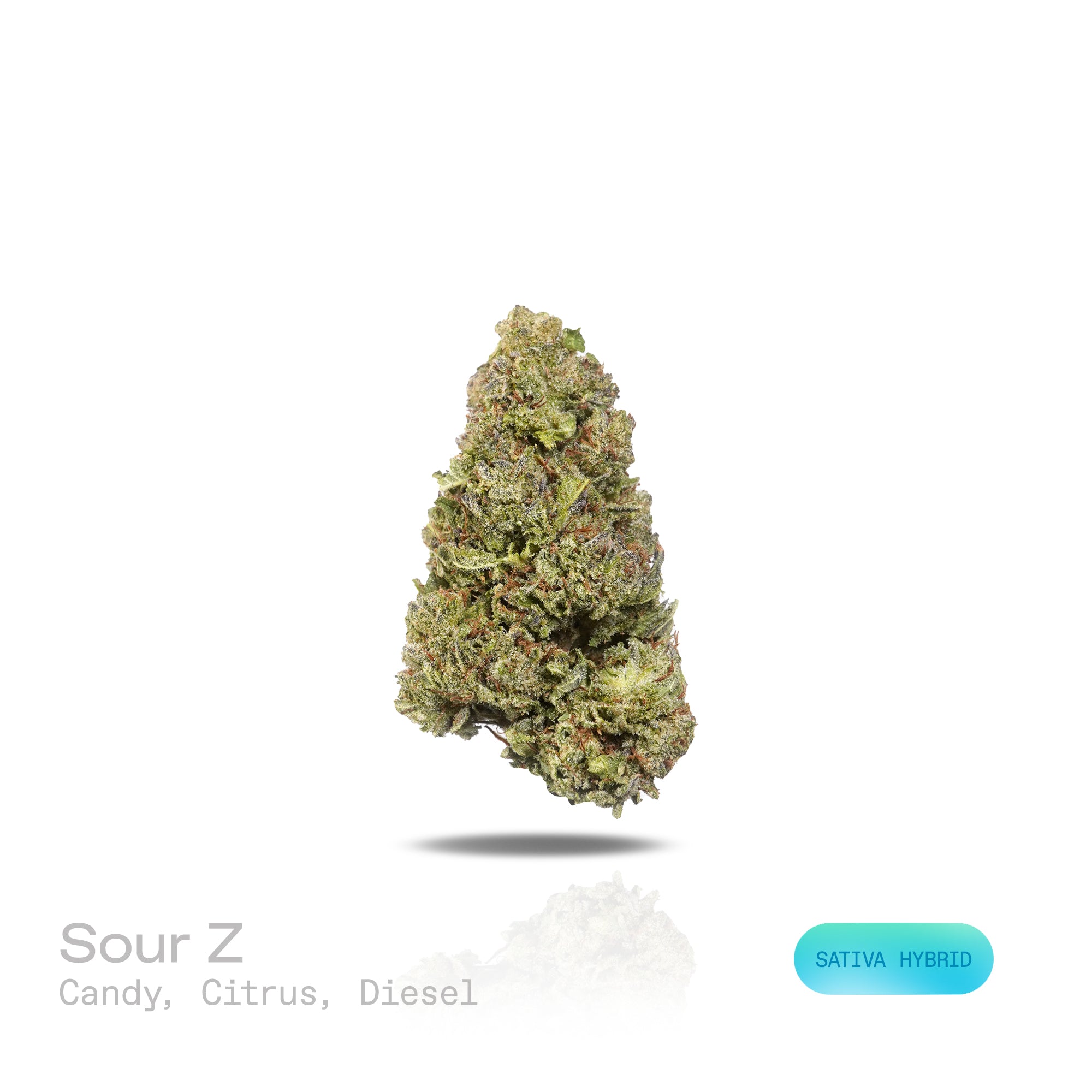 PUFFY Sour Z is a sativa-dominant hybrid THCa strain, emerging from the renowned pairing of Sour Diesel and The Original Z. The aroma is a vibrant fusion of sweet candy notes, zesty citrus, and pungent diesel undertones. Visually, dense forest green buds with purple hues and fiery orange pistils are coated in sticky trichomes. Consumers often report a euphoric, mood-lifting experience that sparks happiness, boosts energy and creativity, and encourages a more social and engaging vibe. 
