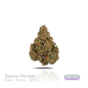 PUFFY Space Rocks is an indica-dominant hybrid THCa strain, born from the flavorful union of Space Queen and Rocky Mountain Blueberry. The aroma is a blend of fresh grass, delicate floral notes, and a grounding earthy undertone. Visually, the buds are dense and vibrant, with blue-green tones, orange pistils, and a frosty trichome coating. Consumers often report an uplifting cerebral buzz that sparks happiness, creativity, and energy, followed by a gentle, calming body effect that promotes relaxation.
