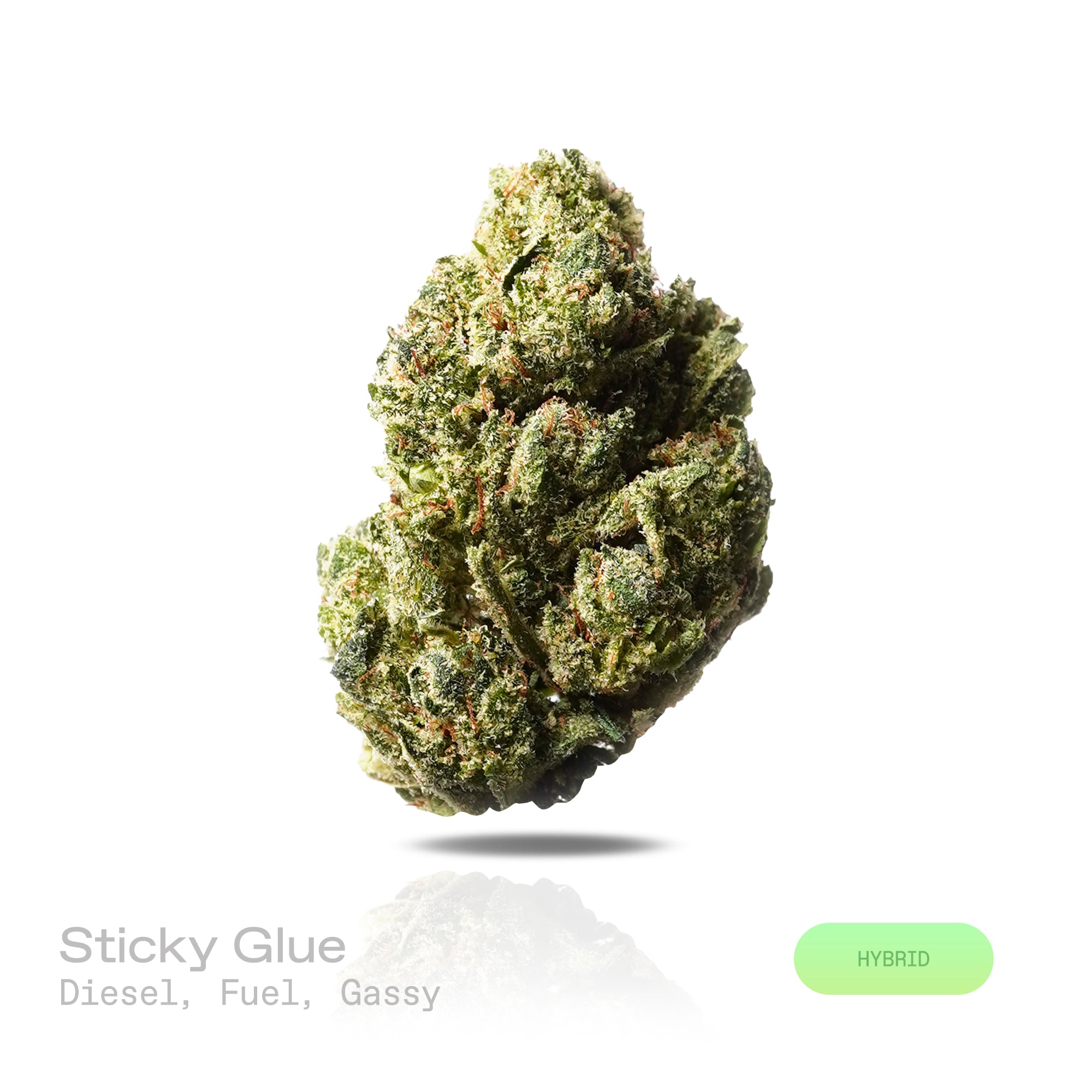 PUFFY Sticky Glue is a balanced hybrid THCa strain carefully crafted through the iconic cross of Original Glue and Gorilla Glue. The aroma is dominated by pungent diesel and fuel notes, complemented by a distinct gassy character. Visually, dense forest green buds with purple hues and fiery orange pistils are coated in sticky trichomes. Consumers often report a balanced wave of euphoria alongside sharpened focus, lively energy, and an uplifting state of mind.