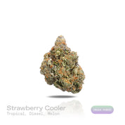 PUFFY Strawberry Cooler is an indica-dominant hybrid THCa strain prepared from a premium blend of  Strawberry Guava and Kush Mints. The aroma bursts with a vibrant fusion of tropical fruit sweetness, layered with juicy melon undertones and a bold, gassy diesel finish. Visually, dense forest green buds with purple hues and fiery orange pistils are coated in sticky trichomes. Consumers often report an experience characterized by euphoric, joyful, and deeply relaxed effects with an uplifting sense of mental cl