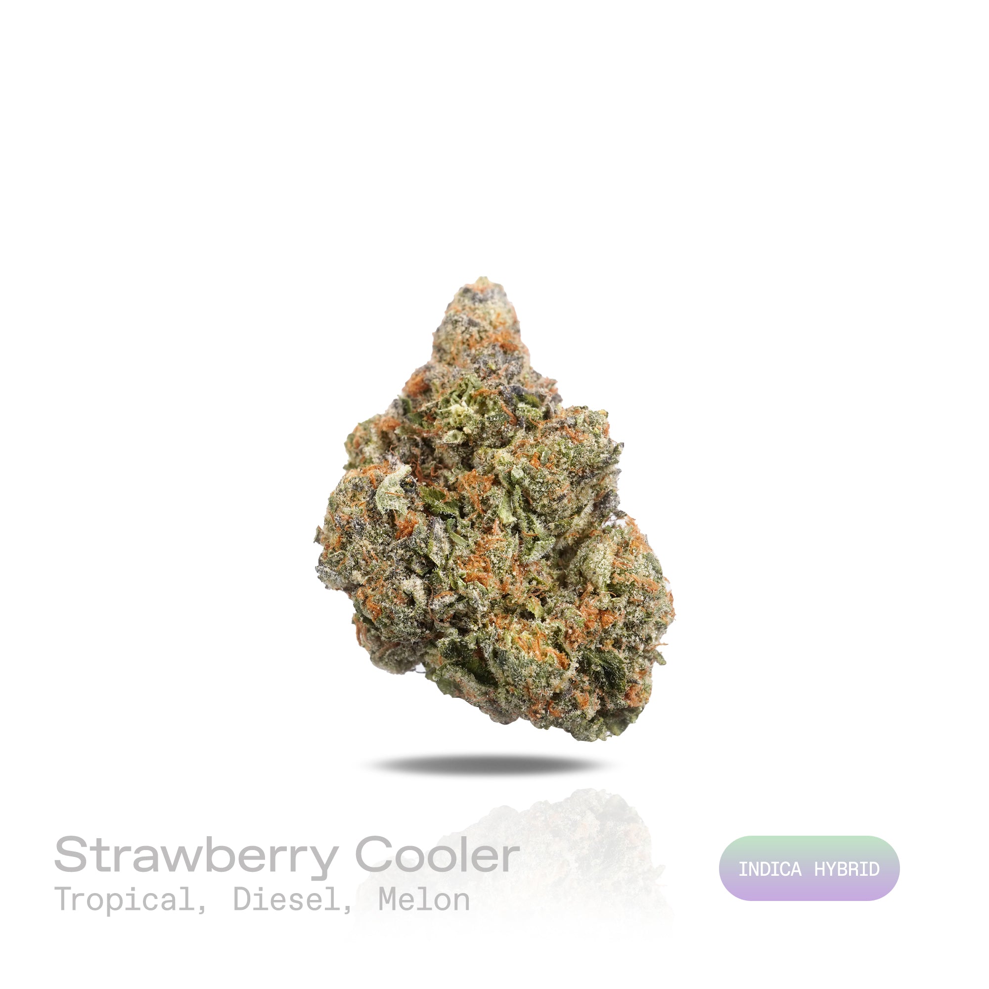 PUFFY Strawberry Cooler is an indica-dominant hybrid THCa strain prepared from a premium blend of  Strawberry Guava and Kush Mints. The aroma bursts with a vibrant fusion of tropical fruit sweetness, layered with juicy melon undertones and a bold, gassy diesel finish. Visually, dense forest green buds with purple hues and fiery orange pistils are coated in sticky trichomes. Consumers often report an experience characterized by euphoric, joyful, and deeply relaxed effects with an uplifting sense of mental cl