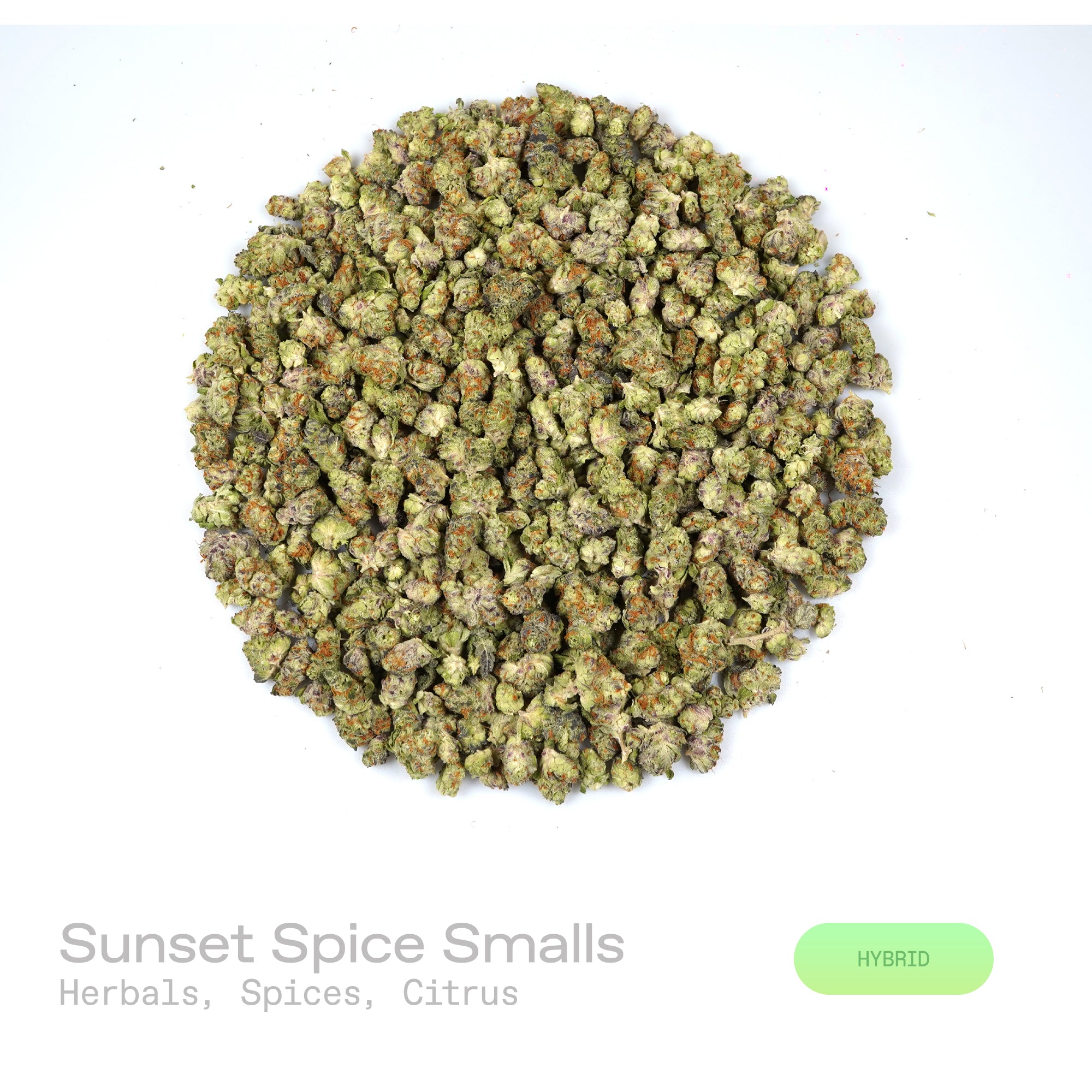 PUFFY Sunset Spice (smalls) is a balanced hybrid THCa strain believed to carry influence from Cookies, Sherbet, and Kush-style genetics without being tied to any single, defined lineage. The aroma is defined by rich herbal notes layered with warm spices and bright citrus undertones. Visually, dense forest green buds with purple hues and fiery orange pistils are coated in sticky trichomes. Consumers often report experiencing euphoria, enhanced focus, and an uplifting mental clarity, accompanied by a deeply s