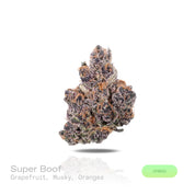 PUFFY Super Boof is a balanced hybrid THCa strain created from the exotic blend of Black Cherry Punch and Tropicana Cookies. The aroma is an exquisite fusion of sparkling grapefruit, luscious orange, and sophisticated musky undertones. Visually, it showcases dense, chunky buds in vivid olive green, adorned with fiery orange hairs and cloaked in a sparkling frost of trichomes. Consumers often report effects that are uplifting, euphoric, and creatively stimulating, while also providing a sense of relaxation a