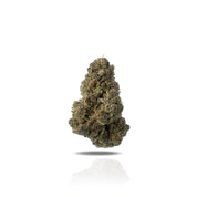 PUFFY Super Boof THCa is a balanced hybrid strain created by crossing Black Cherry Punch and Tropicana Cookies. It delivers a rich and complex flavor profile, starting with an earthy cherry base and layered with bright tangerine, sweet honeysuckle, and juicy raspberry undertones. The aroma bursts with notes of tropical fruit, ripe cherries, and zesty grapefruit, creating a vibrant and refreshing scent profile. Visually, it features dense, spade-shaped buds in vibrant olive green, accented with fiery orange 
