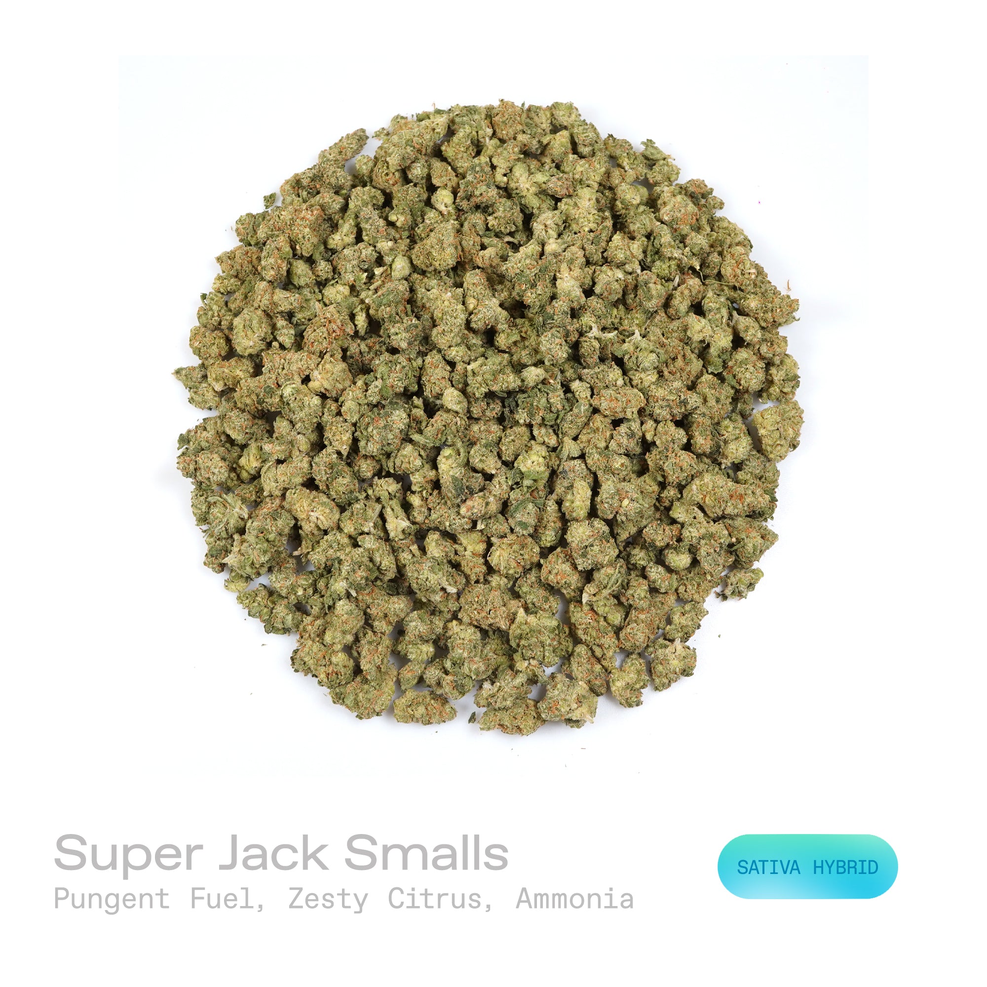 PUFFY Super Jack (smalls) is a sativa-dominant hybrid THCa strain, born from the legendary cross of Super Silver Haze and Jack Herer. The aroma is a bold, pungent fusion of fuel-like sharpness, zesty citrus brightness, and a distinct ammonia edge. Visually, dense forest green buds with purple hues and fiery orange pistils are coated in sticky trichomes. Consumers often report an euphoric, mentally clear, and energetic experience accompanied by enhanced creativity and an overall uplifted mood.