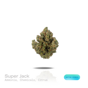 PUFFY Super Jack is a sativa-dominant hybrid THCa strain, born from the legendary cross of Super Silver Haze and Jack Herer. The aroma is a sharp, pungent blend of ammonia and chemical-like intensity, rounded out by bright, zesty citrus notes that add a fresh, tangy lift. Visually, dense forest green buds with purple hues and fiery orange pistils are coated in sticky trichomes. Consumers often report an euphoric, mentally clear, and energetic experience accompanied by enhanced creativity and an overall upli