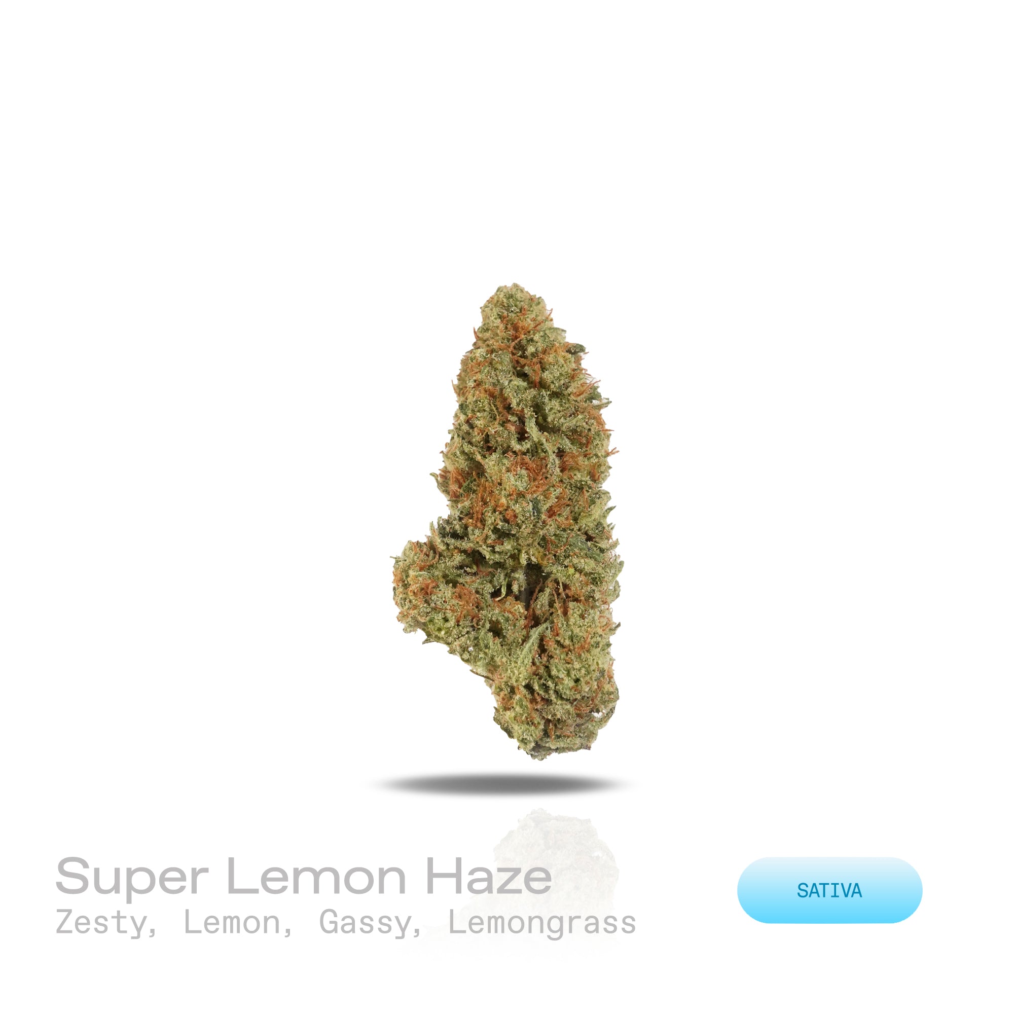 PUFFY Super Lemon Haze is a potent sativa THCa strain, a vibrant cross between Lemon Skunk and Super Silver Haze. The aroma is a vibrant mix of zesty lemon and sour notes, complemented by a gassy kick and a refreshing hint of lemongrass. Visually striking, its dense buds range from deep green to rich purple, generously frosted with sparkling trichomes and accented by vivid orange hairs. Consumers often report that it provides an energizing boost, elevates mood with a sense of euphoria, and sharpens mental c