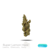 PUFFY Super Lemon Haze is a sativa-dominant hybrid THCa strain crafted through the refined pairing of  Lemon Skunk and Super Silver Haze. The aroma opens with sharp notes of fresh lemons and pungent chemical undertones, finishing with a bright, zesty burst. Visually, dense vivid green buds with purple hues and fiery orange pistils are coated in sticky trichomes. Consumers often report that it provides an energizing boost, elevates mood with a sense of euphoria, and sharpens mental clarity and alertness. 
