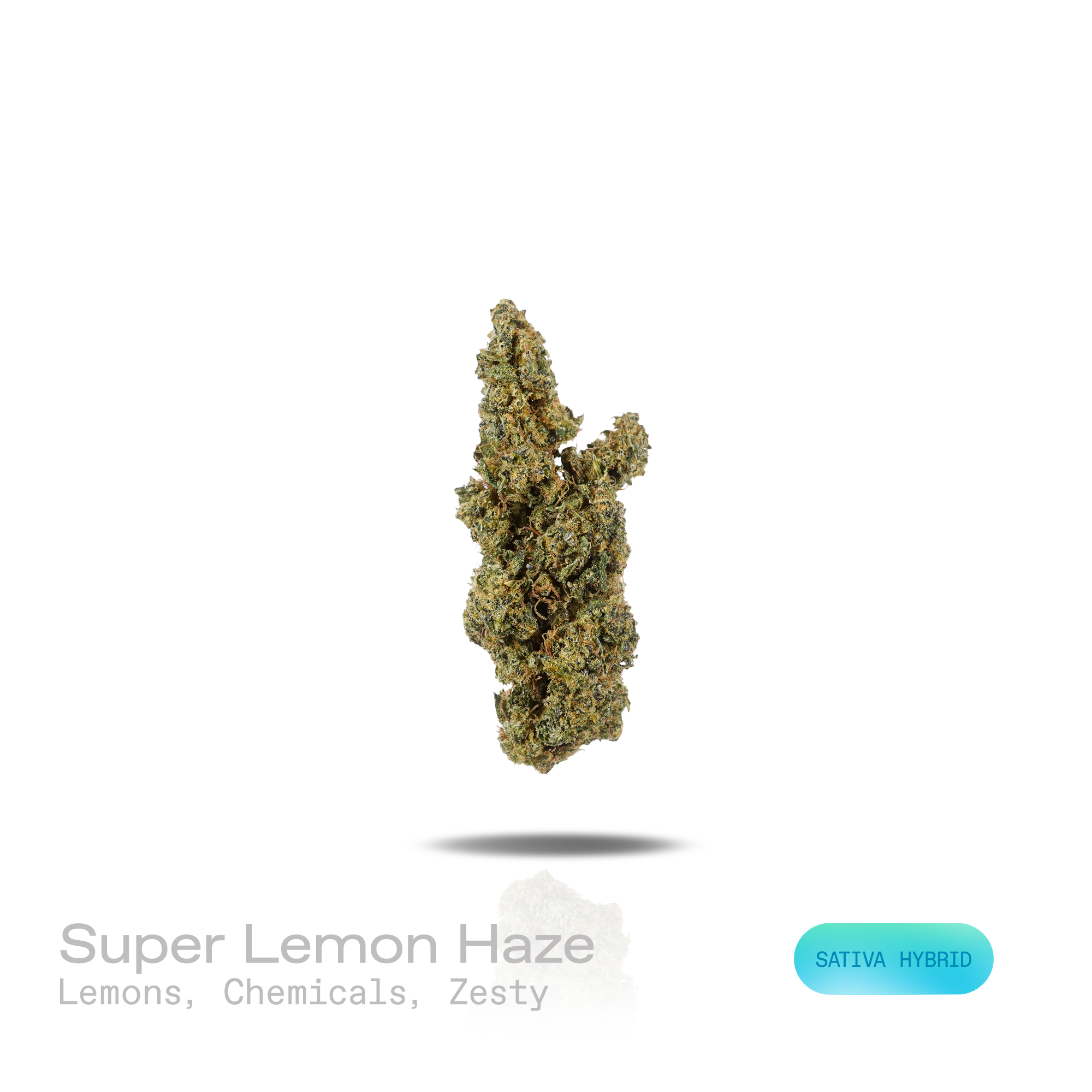 PUFFY Super Lemon Haze is a sativa-dominant hybrid THCa strain crafted through the refined pairing of  Lemon Skunk and Super Silver Haze. The aroma opens with sharp notes of fresh lemons and pungent chemical undertones, finishing with a bright, zesty burst. Visually, dense vivid green buds with purple hues and fiery orange pistils are coated in sticky trichomes. Consumers often report that it provides an energizing boost, elevates mood with a sense of euphoria, and sharpens mental clarity and alertness. 