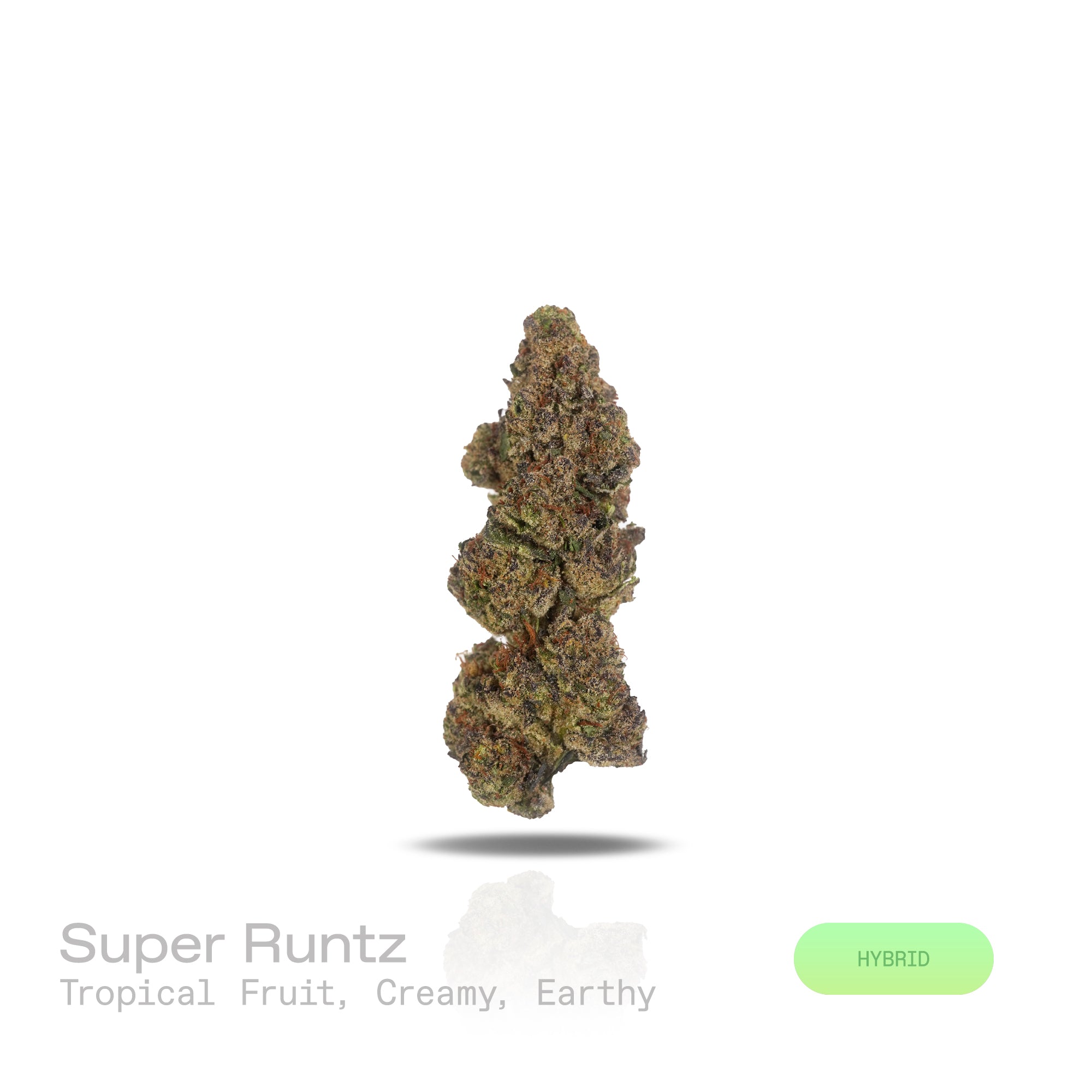 PUFFY Super Runtz is a hybrid THCa strain, expertly crafted from a potent cross between Super Lemon Cherry Gelato and Runtz. The aroma delights the senses with a luscious blend of tropical fruit, creamy undertones, and a grounding earthy richness. Visually, the buds feature chunky or elongated forms in deep green and purple, lit with orange pistils and coated in sugar-like frosty trichomes. Consumers often report an uplifting wave of euphoria that brightens the mood, gradually melting into deep relaxation w