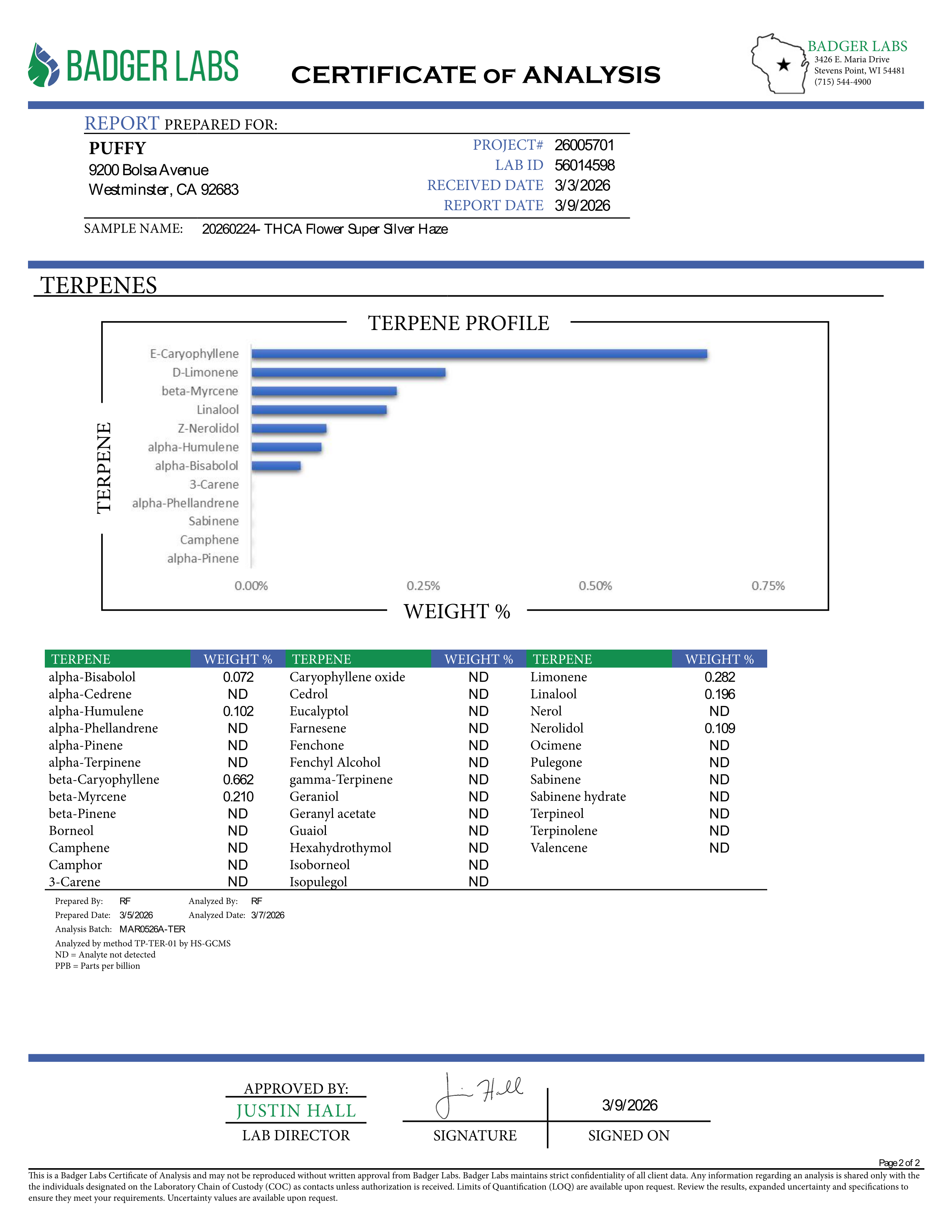 PUFFY Super Silver Haze (smalls) is a sativa-dominant hybrid THCa strain, expertly crafted from a flavorful and legendary three-way cross of Skunk #1, Northern Lights, and Haze. The aroma is a bold blend of funky, refreshing eucalyptus, and sharp diesel notes that immediately capture the senses. Visually, the buds are spade-shaped with a bright lime green hue, accented by fiery orange pistils and coated in a dense layer of silvery-white trichomes. Consumers often describe feeling a surge of energy, heighten