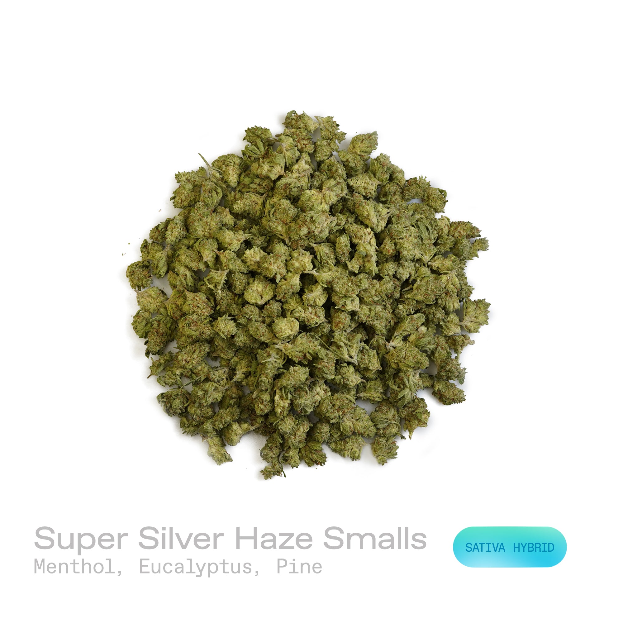 PUFFY Super Silver Haze (smalls) is a sativa-dominant hybrid THCa strain, expertly crafted from a flavorful and legendary three-way cross of Skunk #1, Northern Lights, and Haze. The aroma is a refreshing blend of cool menthol and crisp eucalyptus, balanced by the sharp, clean scent of pine. Visually, the buds are spade-shaped with a bright lime green hue, accented by fiery orange pistils and coated in a dense layer of silvery-white trichomes. Consumers often describe feeling a surge of energy, heightened eu