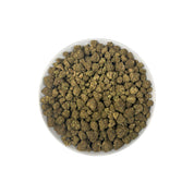 PUFFY Tangerine Dream is a sativa-dominant hybrid THCa strain, born from the masterful cross of Afghani, G13 and Neville’s A5 Haze. The aroma bursts with zesty orange, creamy sweetness, and a sharp hint of diesel. Visually, these dense buds captivate with striking lime green and royal purple hues, vibrant orange pistils, and a sparkling blanket of trichomes. Consumers often report a balanced experience of uplifting euphoria paired with gentle physical relaxation, enhancing creativity, boosting mood, and lea