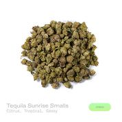 PUFFY Tequila Sunrise (smalls) is a balanced hybrid THCa strain with an undocumented genetic lineage, as its specific parent strains have not been confirmed. The aroma is a vibrant blend of bright citrus and lush tropical fruit notes, finished with a pungent, gassy undertone. Visually, the dense buds display rich forest-green tones with hints of purple, accented by vibrant orange pistils and enveloped in a frosty layer of trichomes. Consumers often report a bright, euphoric mood accompanied by invigorating 