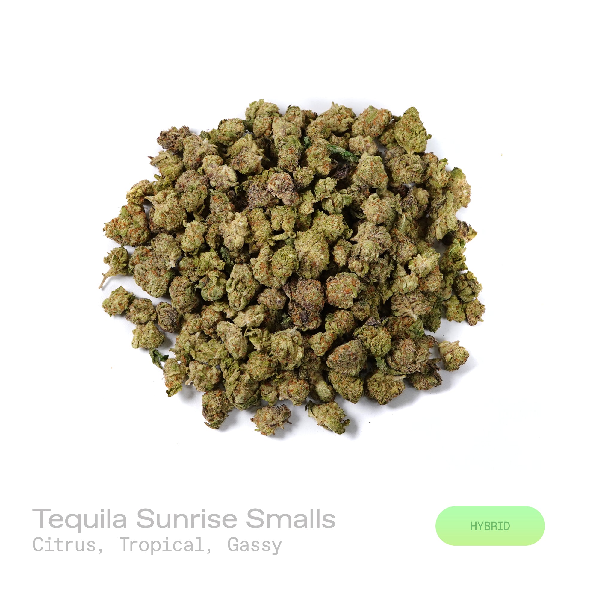 PUFFY Tequila Sunrise (smalls) is a balanced hybrid THCa strain with an undocumented genetic lineage, as its specific parent strains have not been confirmed. The aroma is a vibrant blend of bright citrus and lush tropical fruit notes, finished with a pungent, gassy undertone. Visually, the dense buds display rich forest-green tones with hints of purple, accented by vibrant orange pistils and enveloped in a frosty layer of trichomes. Consumers often report a bright, euphoric mood accompanied by invigorating 