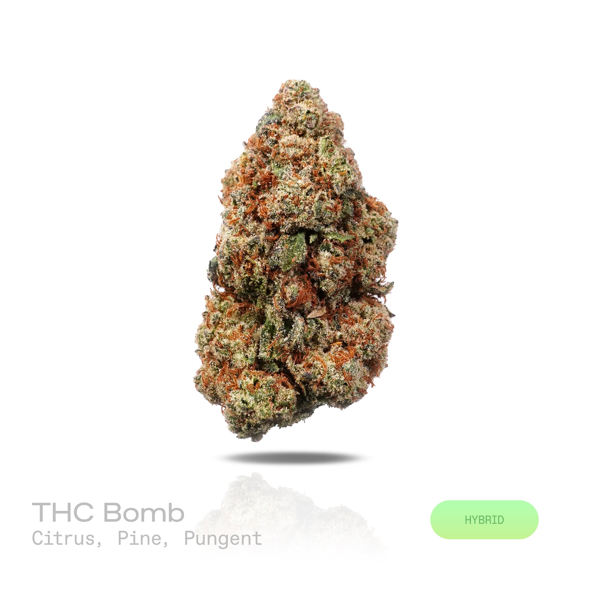 PUFFY THC Bomb is a balanced hybrid THCa strain bred from undisclosed parent genetics, developed specifically to maximize potency and yield rather than maintain a publicly documented lineage. The aroma is a vibrant blend of zesty citrus, crisp pine, and bold, pungent notes. Visually, dense forest green buds with hints of purple are threaded with fiery orange pistils and coated in a sparkling layer of sticky trichomes. The consumers often report a euphoric mental uplift accompanied by a smooth, relaxing body