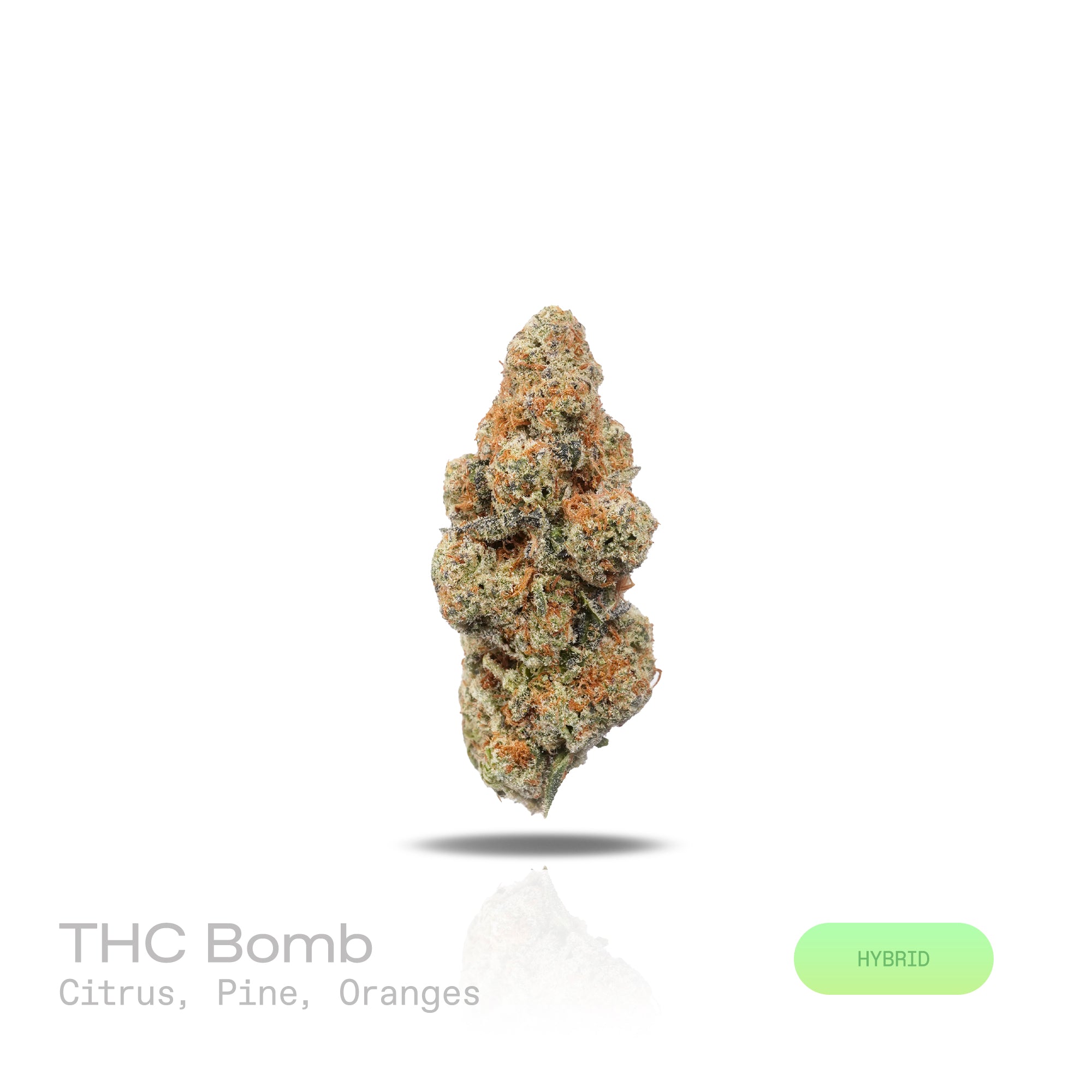 PUFFY THC Bomb is a balanced hybrid THCa strain bred from undisclosed parent genetics, developed specifically to maximize potency and yield rather than maintain a publicly documented lineage. The aroma is a vibrant fusion of lively citrus, crisp pine, and sweet, juicy orange. Visually, dense forest green buds with hints of purple are threaded with fiery orange pistils and coated in a sparkling layer of sticky trichomes. The consumers often report a euphoric mental uplift accompanied by a smooth, relaxing bo