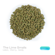 PUFFY The Lime (smalls) is a sativa-dominant hybrid THCa strain created by blending carefully curated genetics of The Original Lemonnade and Cactus Cooler. The aroma opens with a bright burst of zesty lemon, followed by layers of sweet cherry and sugary candy notes. Visually, the buds are dense, with forest green and purple tones, bright orange pistils, and a frosty trichome coating. Consumers often report an uplifting euphoric state accompanied by creative stimulation, enhanced focus, a noticeably improved