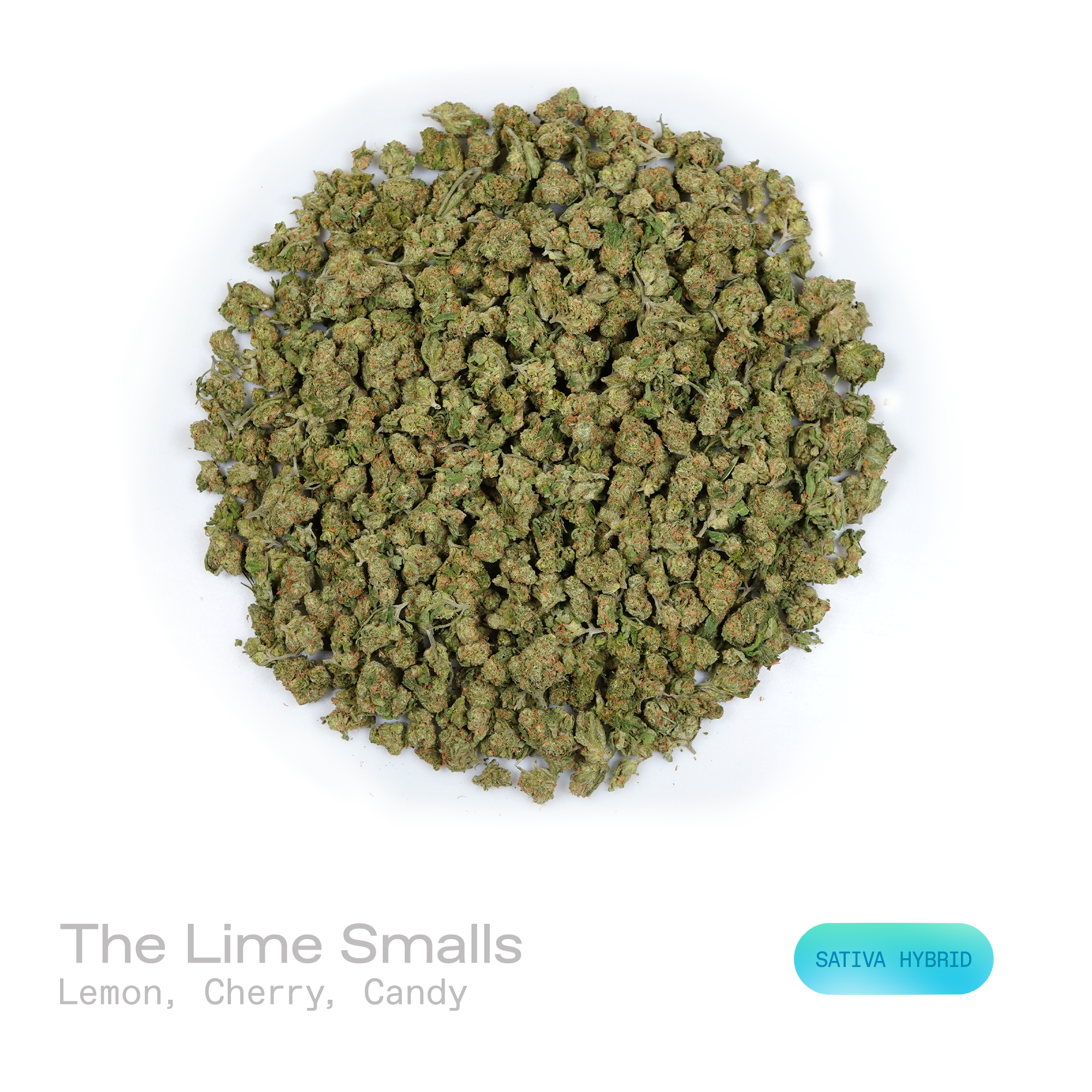 PUFFY The Lime (smalls) is a sativa-dominant hybrid THCa strain created by blending carefully curated genetics of The Original Lemonnade and Cactus Cooler. The aroma opens with a bright burst of zesty lemon, followed by layers of sweet cherry and sugary candy notes. Visually, the buds are dense, with forest green and purple tones, bright orange pistils, and a frosty trichome coating. Consumers often report an uplifting euphoric state accompanied by creative stimulation, enhanced focus, a noticeably improved