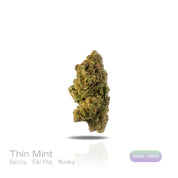 PUFFY Thin Mint is an indica-dominant hybrid THCa strain crafted from the flavorful cross of Durban Poison and OG Kush. The aroma is a rich blend of spicy, earthy, and musky notes, creating a warm and intoxicating scent that lingers in the air. Visually striking, the dense buds blend forest green and royal purple with fiery orange pistils and a frosty layer of trichomes that hint at potent effects. Consumers often describe an experience that begins with euphoric, mentally stimulating effects, boosting mood 