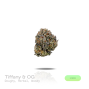 PUFFY Tiffany & OG is a balanced hybrid THCa strain, a masterful fusion of the legendary True OG and OG Kush lineage. The aroma opens with rich doughy notes layered with earthy herbal undertones and a warm woody finish. Visually, dense forest green buds with purple hues and fiery orange pistils are coated in sticky trichomes. Consumers often report a euphoric and uplifted mood accompanied by a gentle sense of physical ease and an alert, steady focus with improved mental clarity. 