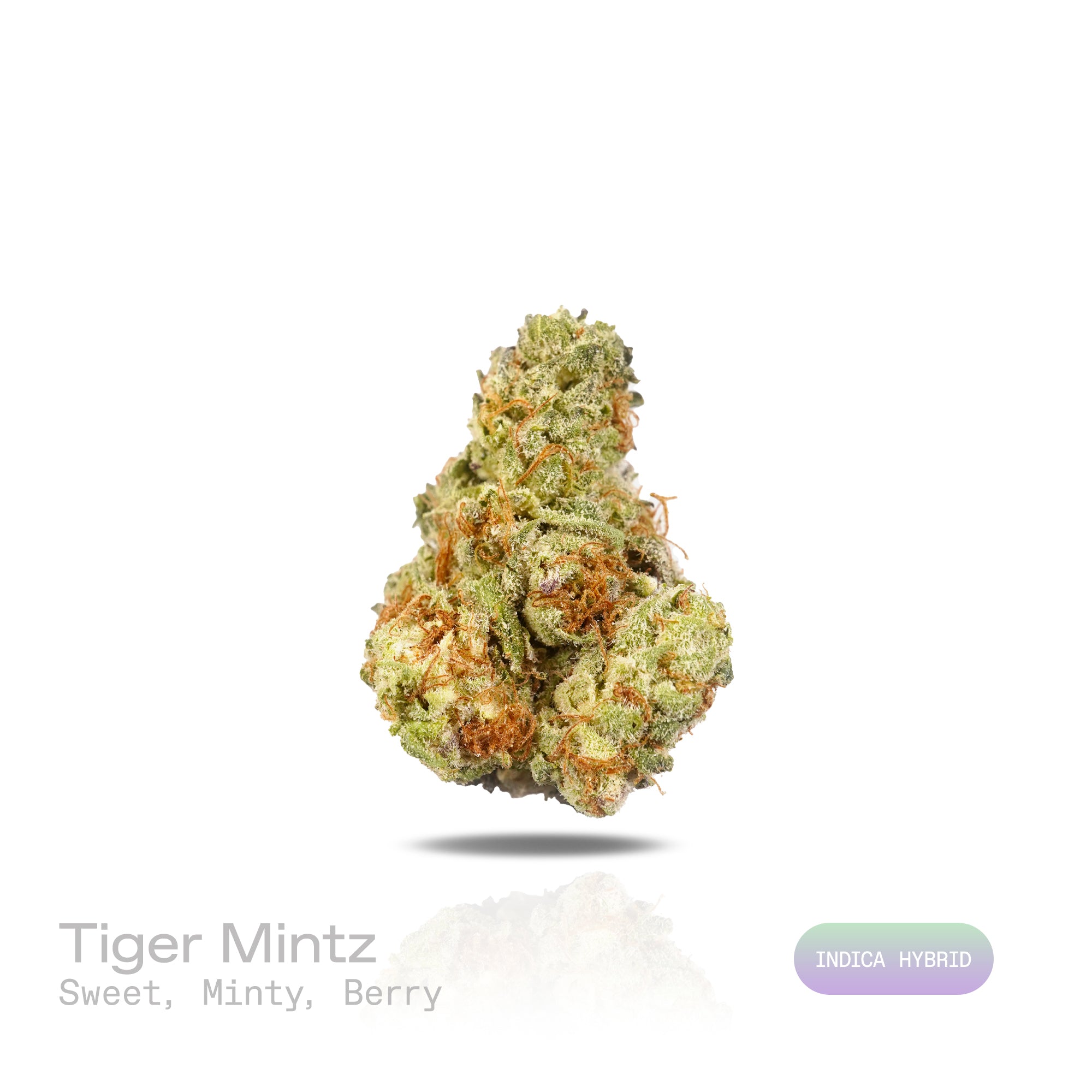 Tiger Mintz harvested flower, as labeled by the cited photo source