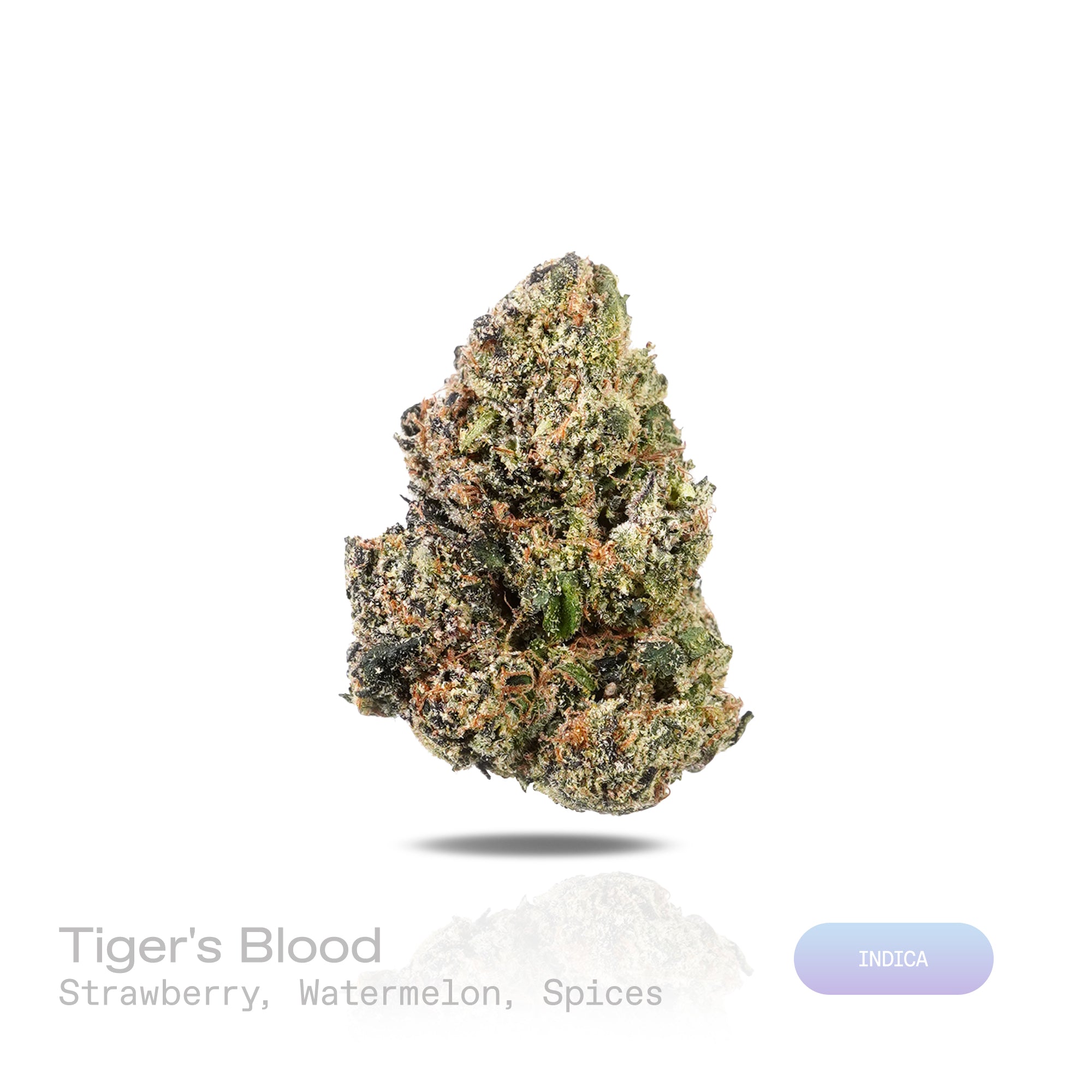 PUFFY Tiger's Blood is a lush, premium indica THCa strain known as a select phenotype carrying the iconic characteristics of OG Kush. The aroma is a luscious blend of ripe strawberry and juicy watermelon, layered with a subtle touch of warm spices. Visually, dense forest green buds with purple hues and fiery orange pistils are coated in sticky trichomes. Consumers often describe a sophisticated experience marked by uplifting euphoria, deep relaxation, and a brighter mood. 