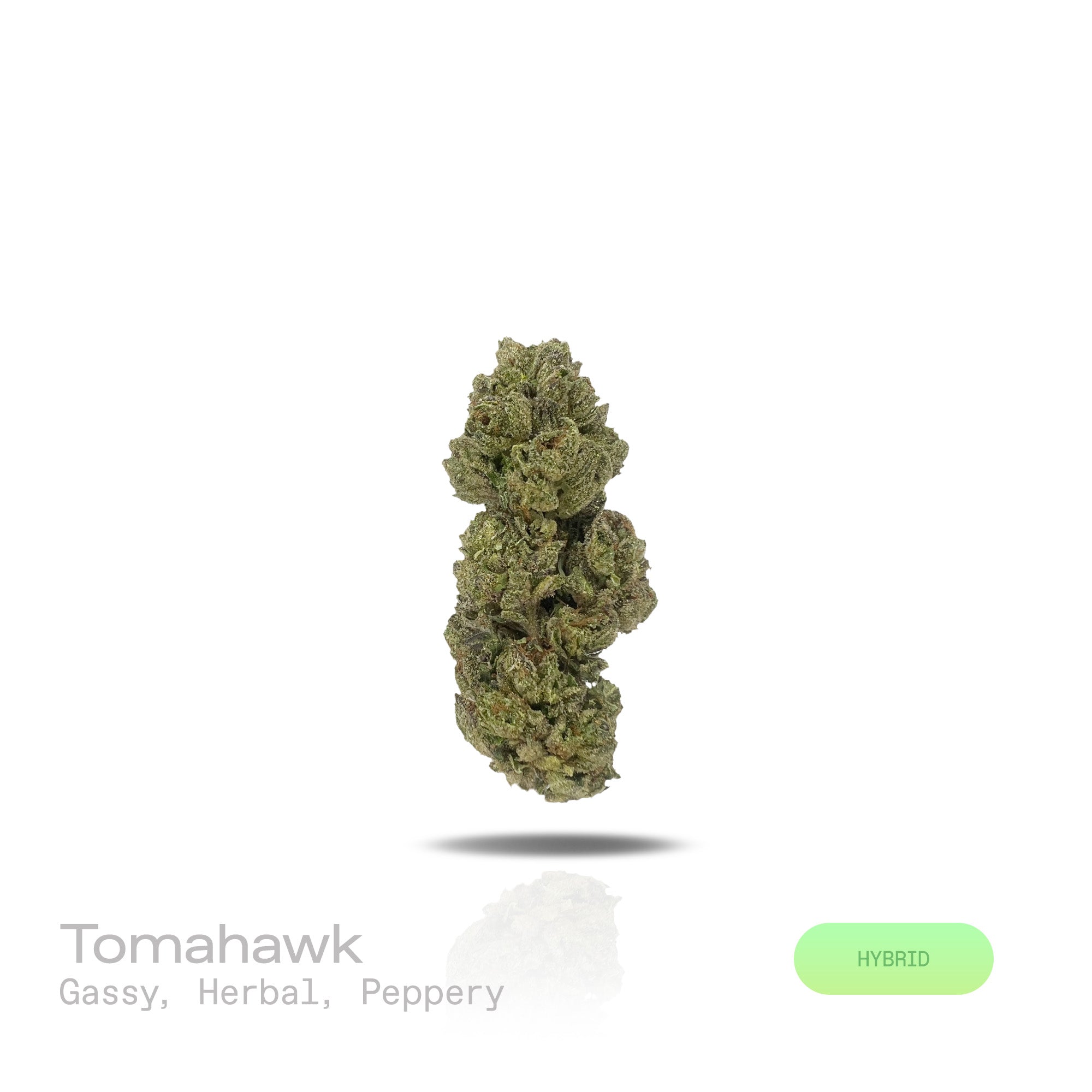 PUFFY Tomahawk is a balanced hybrid THCa strain emerging from the distinguished pairing of GG4 (Gorilla Glue 4) and Stardawg. The aroma opens with bold gassy and herbal notes, finishing with a distinctive peppery kick. Visually, dense lush green buds with purple hues and fiery orange pistils are coated in sticky trichomes. Consumers often report a euphoric and uplifting experience that promotes a clear, focused mindset while delivering an energetic boost to keep them feeling motivated and engaged.