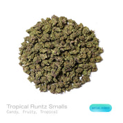 PUFFY Tropical Runtz (smalls) is a sativa-dominant hybrid THCa strain developed by combining the renowned genetics of Runtz and Tropic Truffle. The aroma is a delightful blend of candy-like sweetness, juicy fruit notes, and vibrant tropical nuances. Visually, dense forest green buds with purple hues and fiery orange pistils are coated in sticky trichomes. Consumers often report an uplifting wave of euphoria that sparks creativity, sharpens focus, encourages sociability, and gradually settles into a calm, de