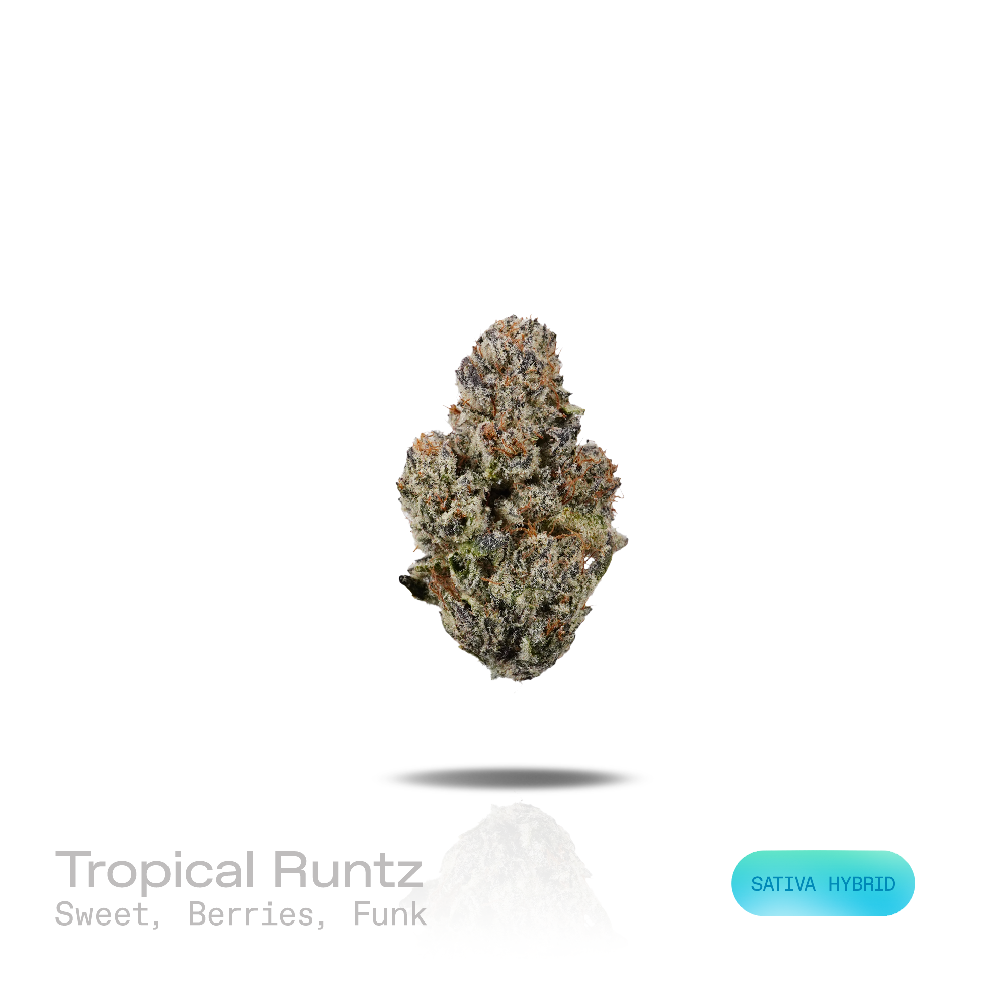 PUFFY Tropical Runtz is a sativa-dominant hybrid THCa strain developed by combining the renowned genetics of Runtz and Tropic Truffle. The aroma blends sweet fragrant notes with juicy berries and a pronounced funky undertone. Visually, dense forest green buds with purple hues and fiery orange pistils are coated in sticky trichomes. Consumers often report an uplifting wave of euphoria that sparks creativity, sharpens focus, encourages sociability, and gradually settles into a calm, deeply relaxed state. 