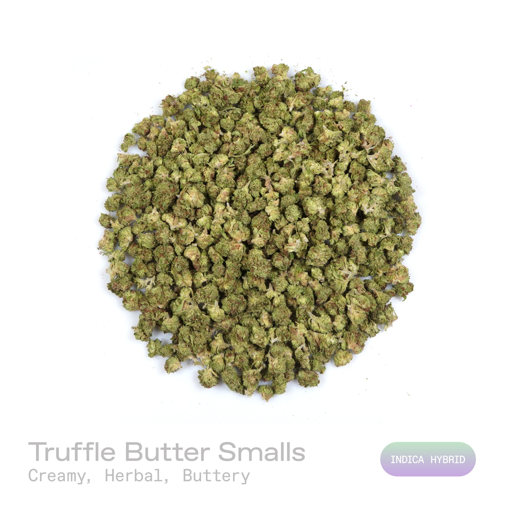 PUFFY Truffle Butter (smalls) is an Indica-dominant hybrid THCa strain, born from the flavorful cross of Gelato and Chocolate Kush. The aroma is a rich, creamy blend with soothing herbal undertones and a subtle buttery note. Visually, the buds are dense and striking, showcasing a deep forest-green base with vibrant purple hues, bright orange pistils, and a sparkling coating of trichomes. Consumers often report an initial burst of euphoria and uplifted mood, gradually giving way to deep physical relaxation, 