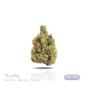 PUFFY Truffle is an indica-dominant hybrid THCa strain, expertly crafted from the renowned pairing of ZKZ and Cherry Noir. The aroma is a fragrant blend of fresh herbal notes layered with warm spices and delicate floral undertones, creating a smooth and pleasantly uplifting scent profile. Visually captivating, the buds are thick and resinous, shimmering with frosty trichomes, while vibrant orange pistils thread through shades of dark green and purple. Consumers often report a euphoric uplift that gently set