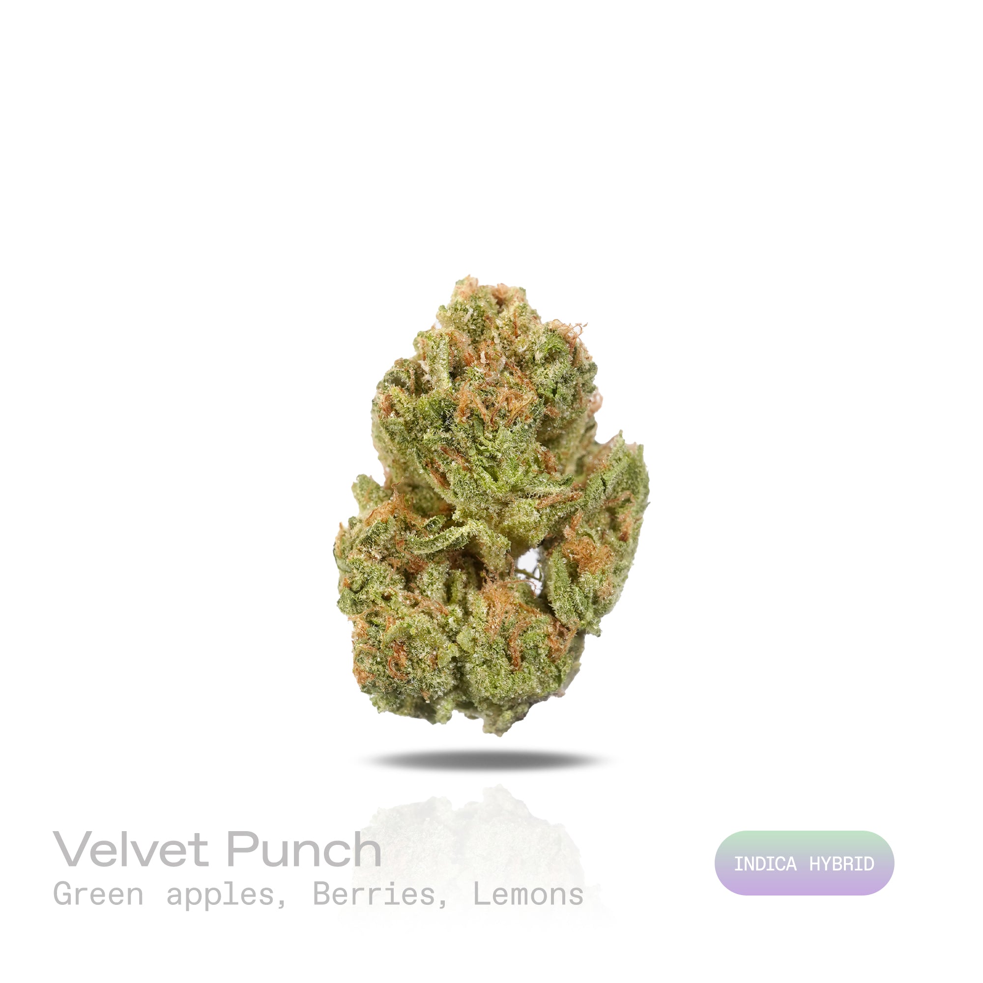 PUFFY Velvet Punch is an indica-dominant hybrid THCa strain crafted from the standout genetics of  GMO and Nookies. Aroma is a bright blend of crisp green apples layered with juicy berries and a zesty hint of fresh lemon. Visually, dense spring green buds with purple hues and fiery orange pistils are coated in sticky trichomes. Consumers often report feeling euphoric and deeply relaxed, followed by a sleepy, calming effect that encourages rest and unwinding. 