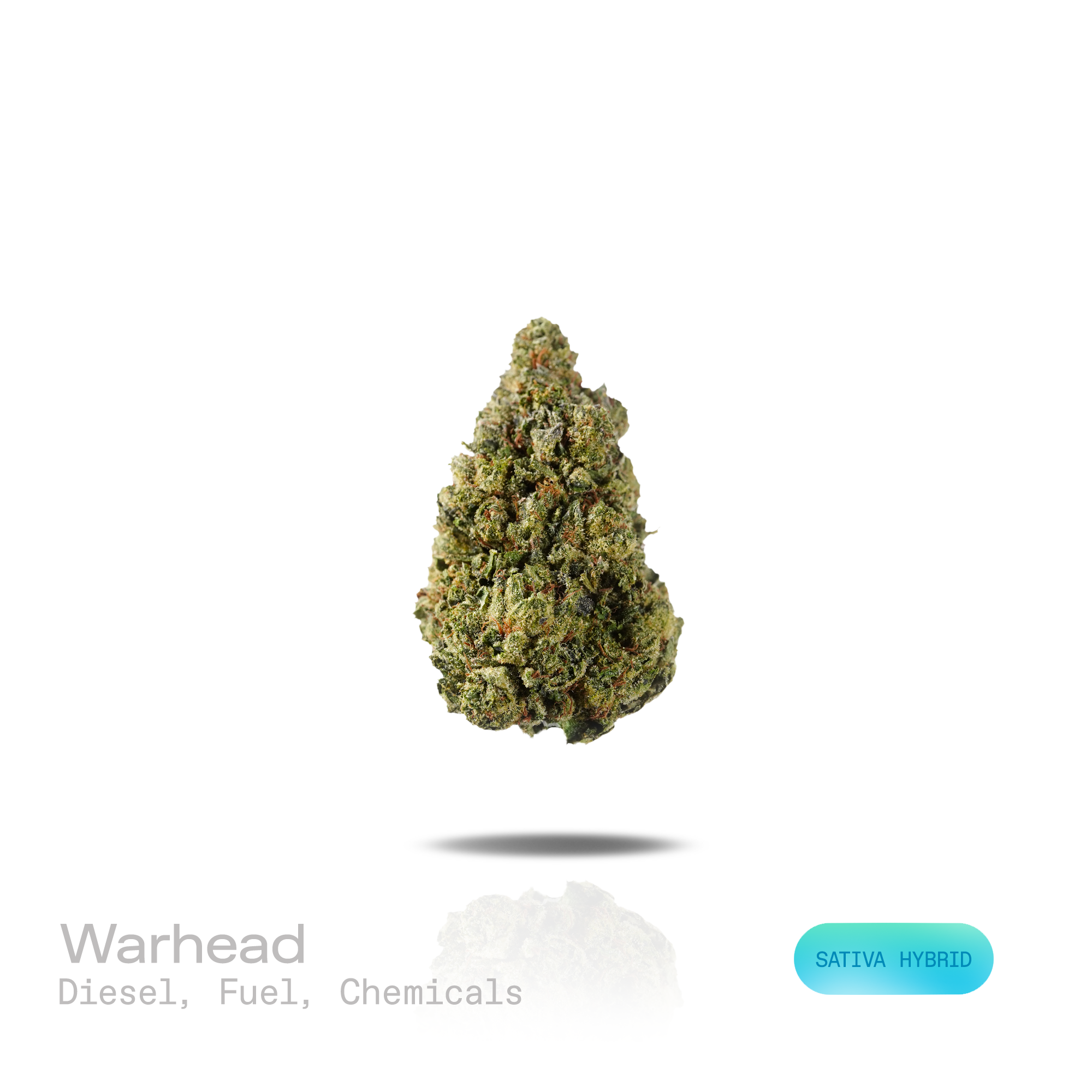 PUFFY Warhead is a sativa-dominant hybrid THCa strain created through the masterful blending of Kaboom and Sour Pez. The aroma opens with an intense blast of pungent diesel and heavy fuel, layered with sharp chemical undertones that create a powerful gassy character. Visually, dense forest green buds with purple hues and fiery orange pistils are coated in sticky trichomes. Consumers often report a euphoric, uplifting sense of calm accompanied by enhanced focus and creativity, making this cultivar a popular 