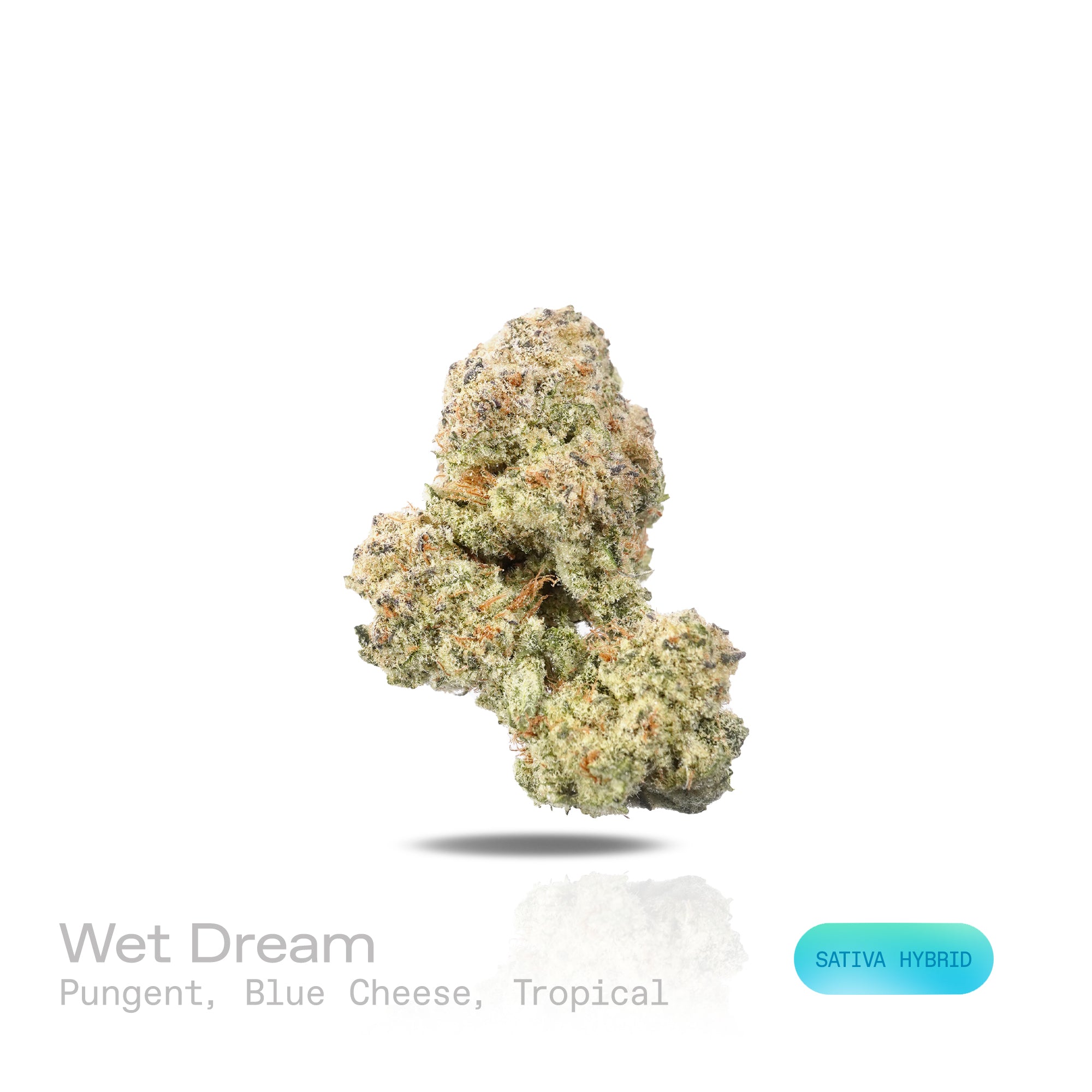 PUFFY Wet Dream is a sativa-dominant hybrid THCa strain born from the well-known cross of Blue Dream and Ocean Beach Haze. The aroma is pungent and rich, blending sharp blue cheese notes with sweet tropical undertones. Visually, dense apple green buds with purple hues and fiery orange pistils are coated in sticky trichomes. Consumers often report feeling euphoric, mentally stimulated, creatively inspired, and refreshed, with a bright, motivating sense of clarity. 
