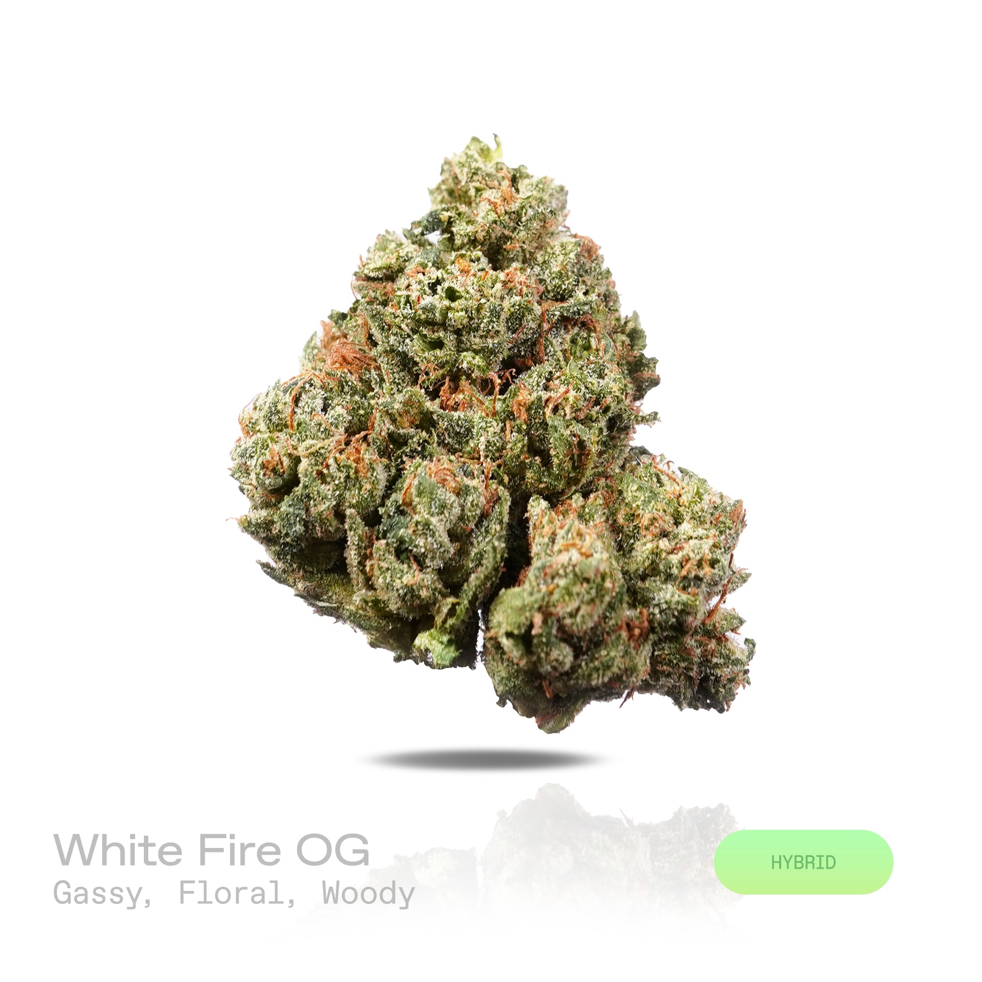 PUFFY White Fire OG is a balanced hybrid THCa strain, crafted from the legendary lineage of Fire OG and The White. The aroma is an alluring blend of pungent gassy notes, delicate florals, and rich, earthy wood tones. Visually, dense forest green buds with hints of purple, bright orange pistils, and a thick coating of sparkling trichomes. Consumers often report a balanced wave of euphoria with uplifting energy, enhanced focus, and a smooth sense of relaxation. 