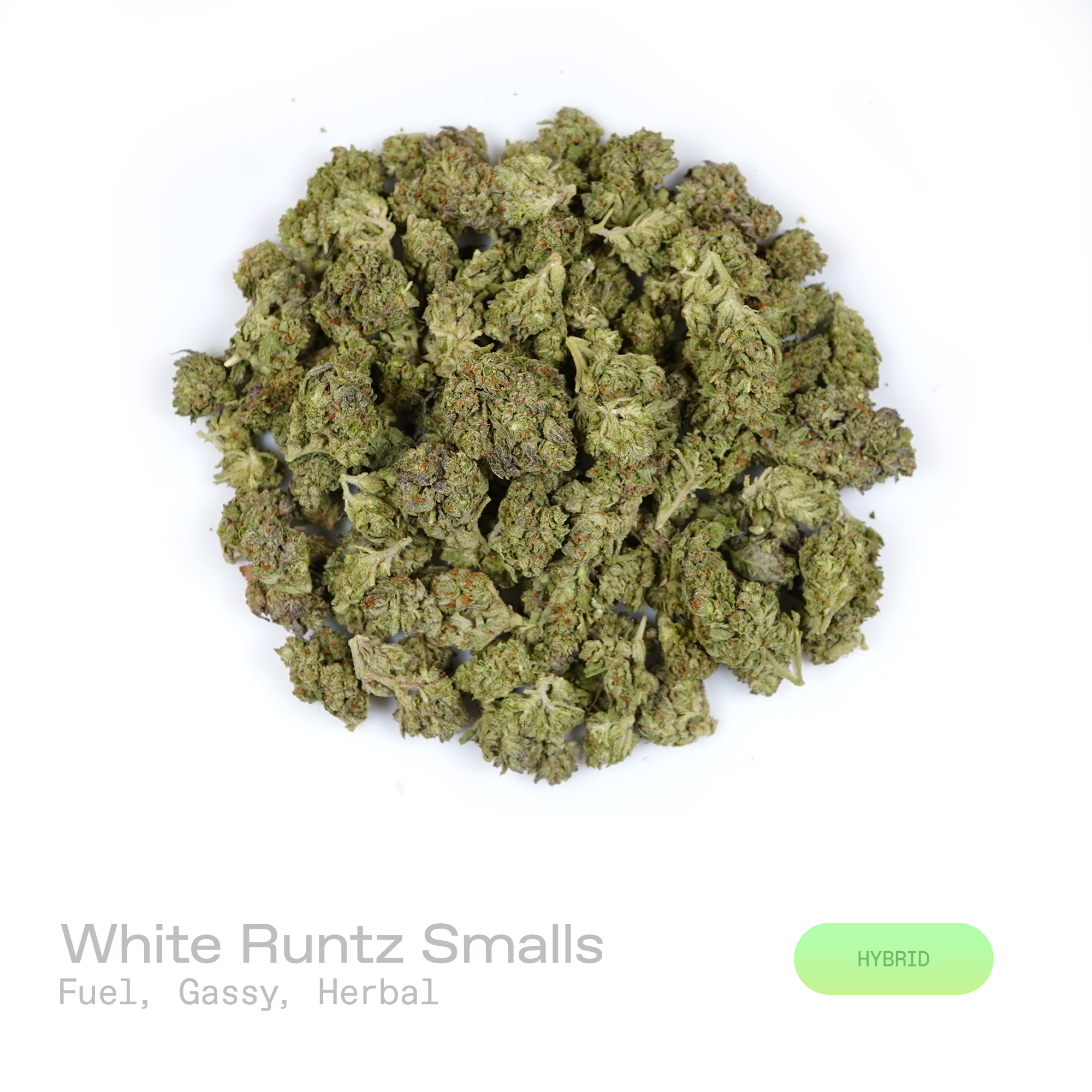 PUFFY White Runtz (smalls) is a balanced hybrid THCa strain rooted through the dynamic genetic union of Gelato and Original Z. The aroma opens with bold fuel and gassy notes, finishing with a smooth herbal undertone. Visually, dense deep forest green buds with purple hues and fiery orange pistils are coated in sticky trichomes. Consumers frequently describe experiencing a euphoric and uplifting sensation, accompanied by an improved mood and a gentle, soothing sense of relaxation. 