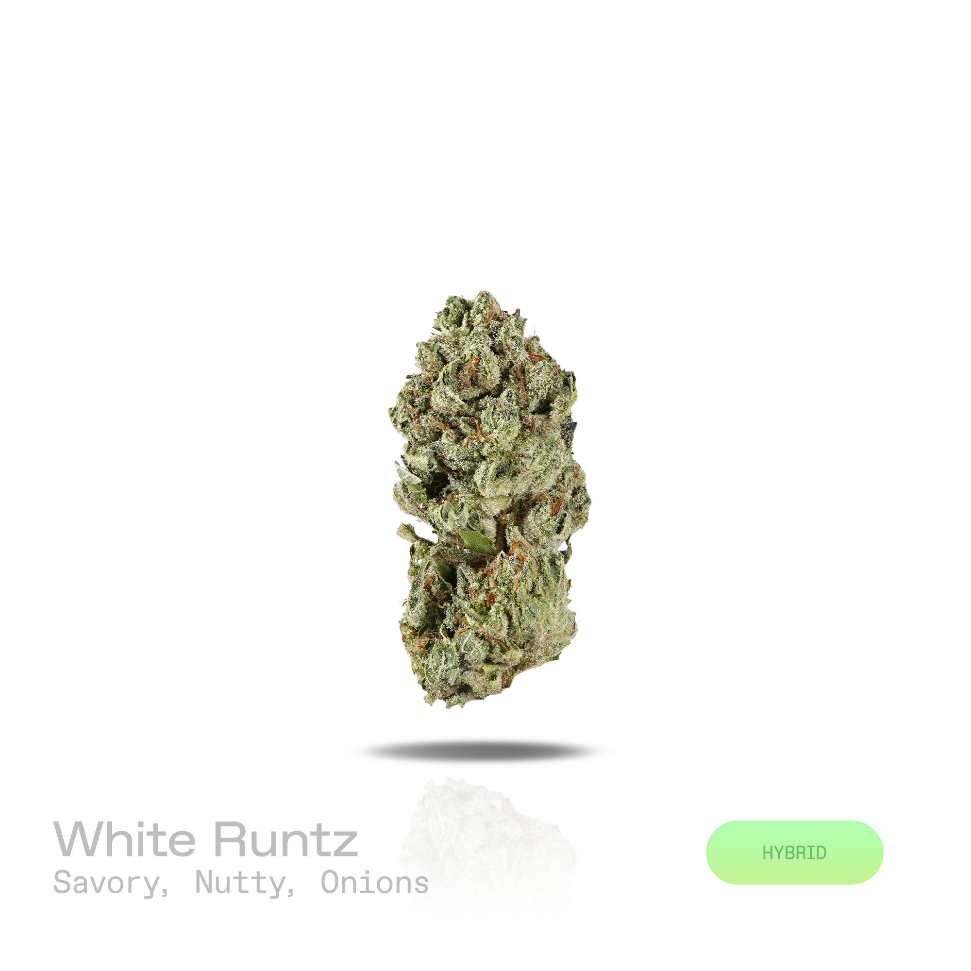 PUFFY White Runtz is a balanced hybrid THCa strain developed through the genetic pairing of Gelato and Original Z. The aroma features rich savory notes with a hearty, umami-like depth, complemented by warm nutty undertones and pungent onion accents. Visually, the buds are dense and frosty, showcasing vibrant green hues with occasional purple accents, all coated in a thick layer of white trichomes. Consumers frequently describe experiencing a euphoric and uplifting sensation, accompanied by an improved mood 